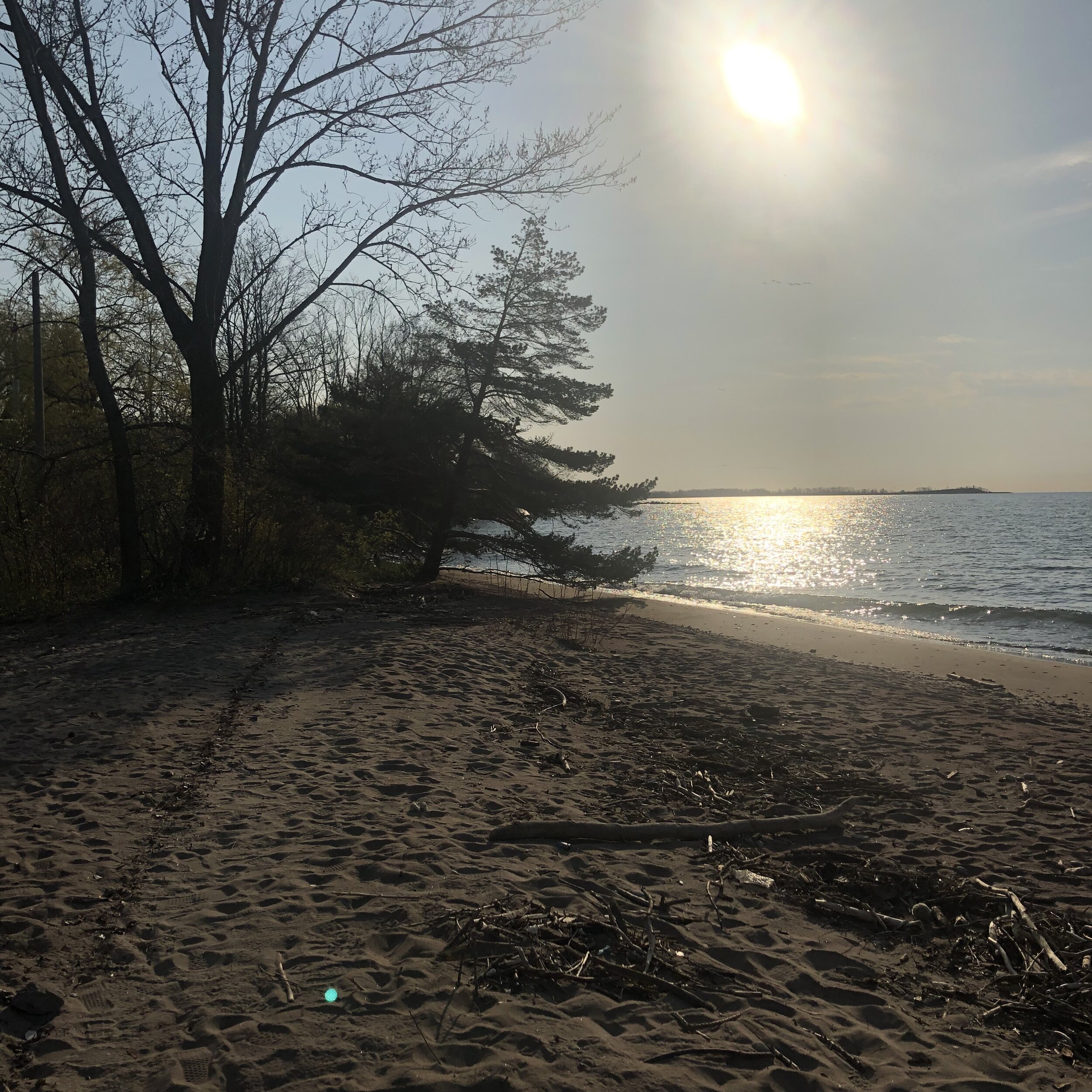 FACRES Beach morning.jpg