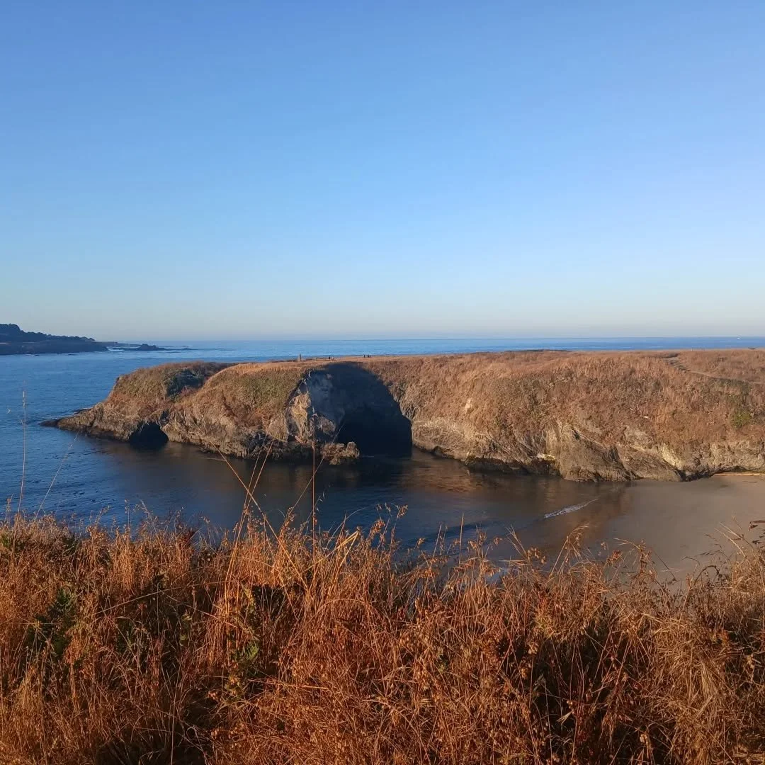 Mendocino morning views...