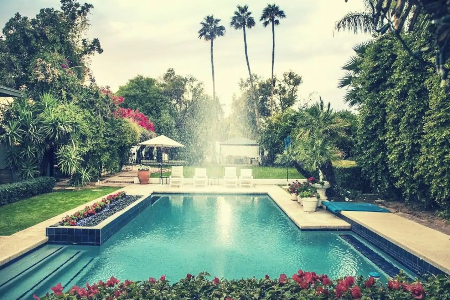 A fully-grassed backyard surrounded by giant, mature trees