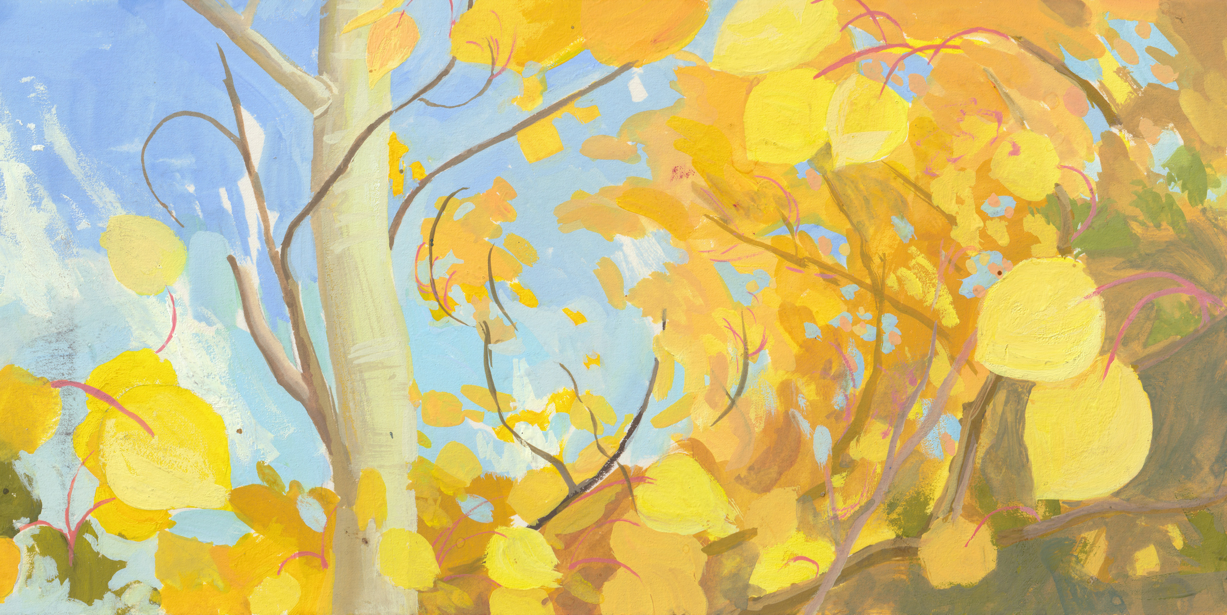 Aspens in Fall small.png