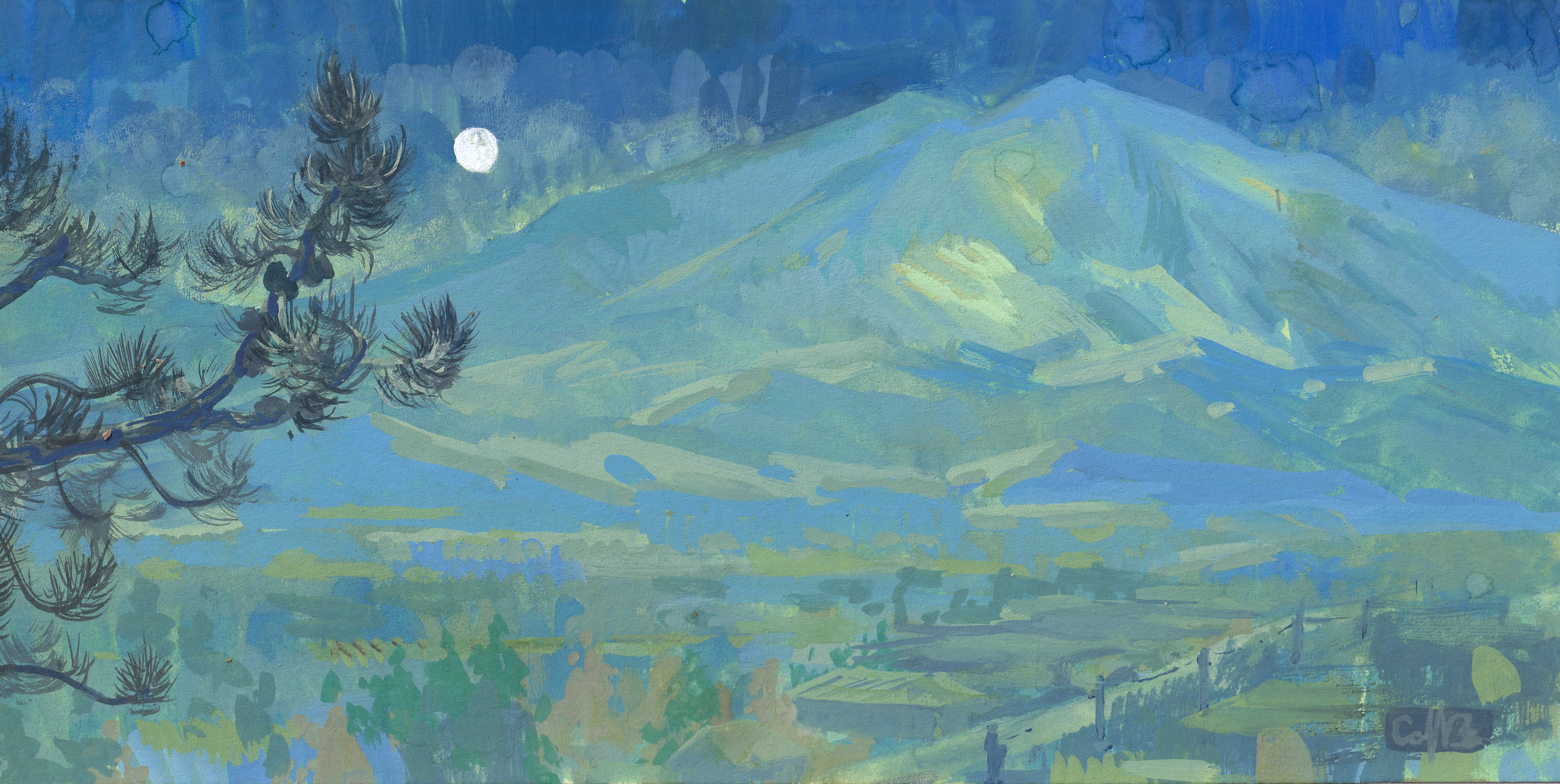 Carbondale_Nocturne.png