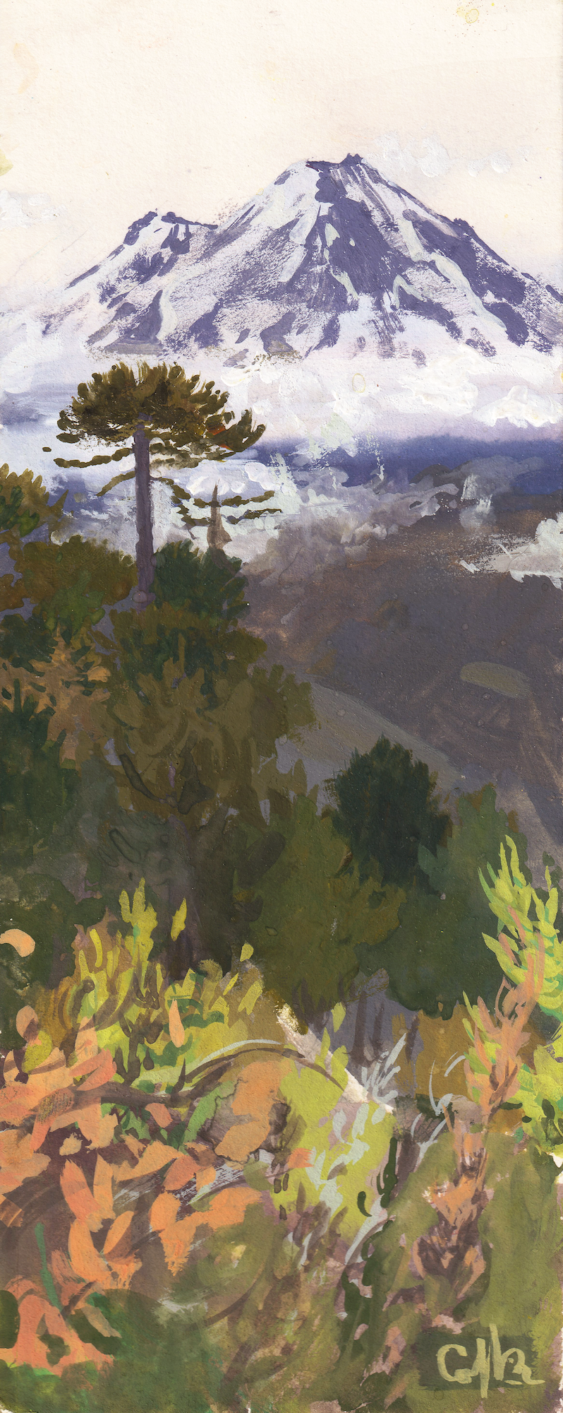 La Araucaria