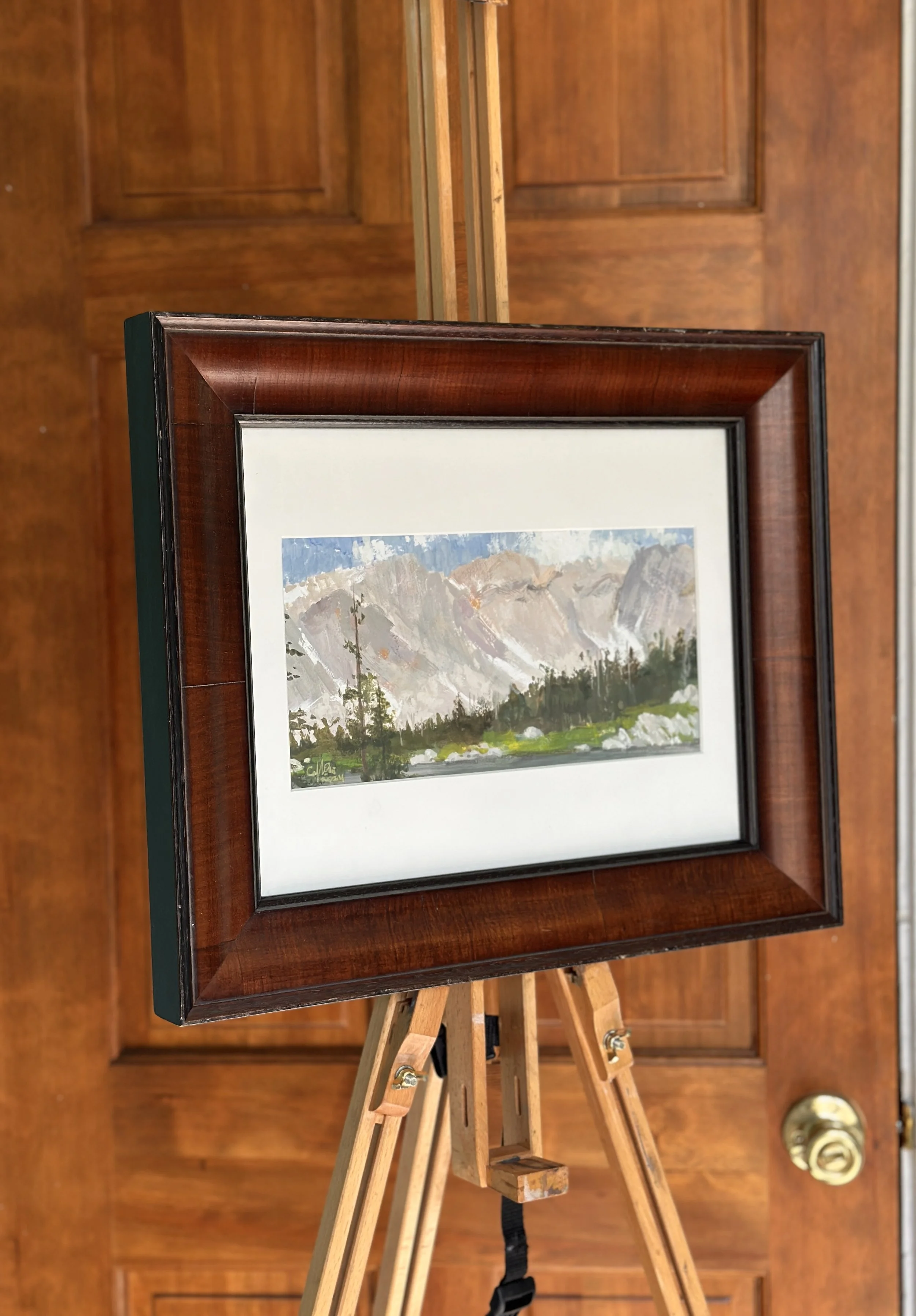 Summer in the Snowies