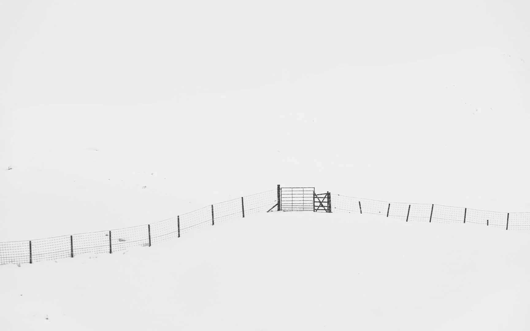 _DSF0822.jpg