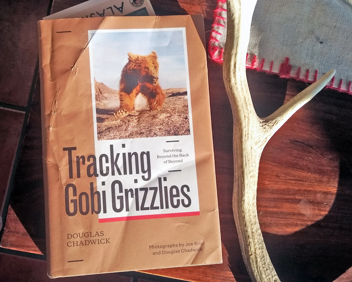 Tracking Gobi Grizzlies, by Douglas Chadwick. (Gareth Wishart)