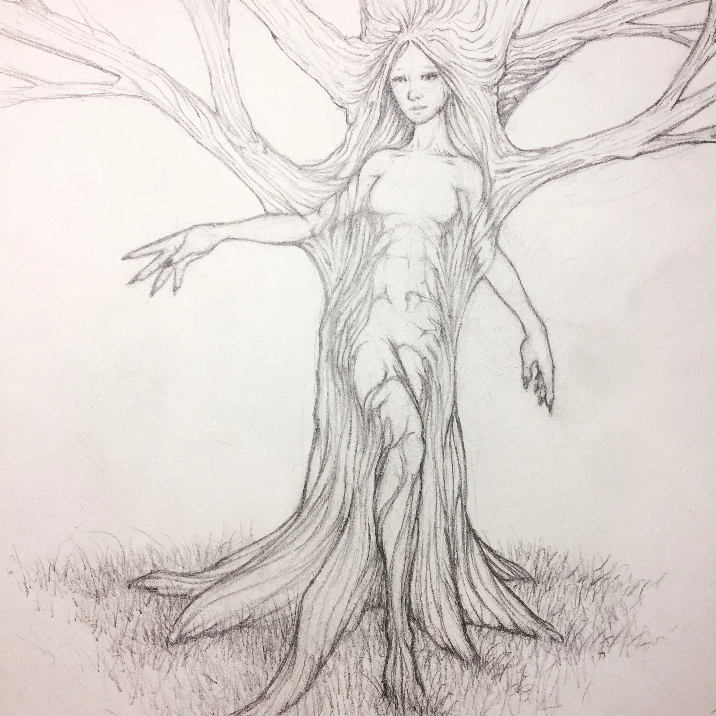 Dryad