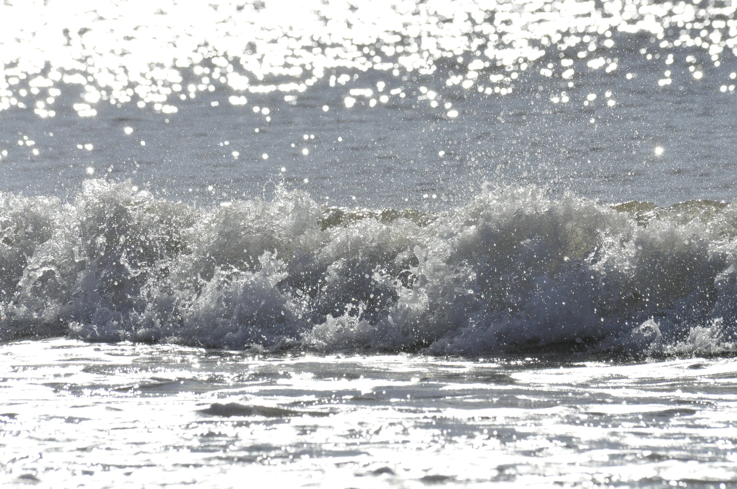 _DSC0480.JPG