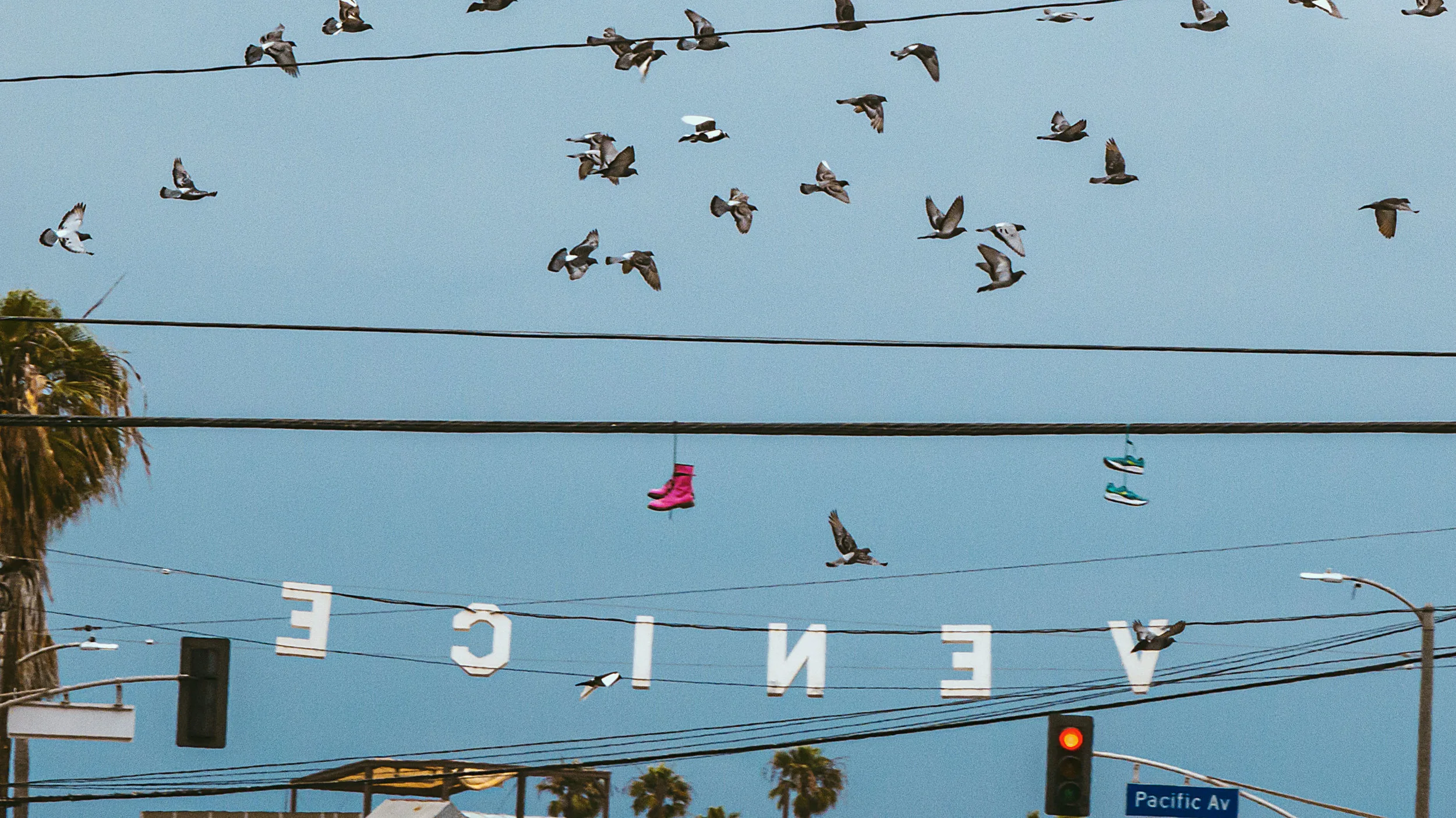 Venice Beach, CA 