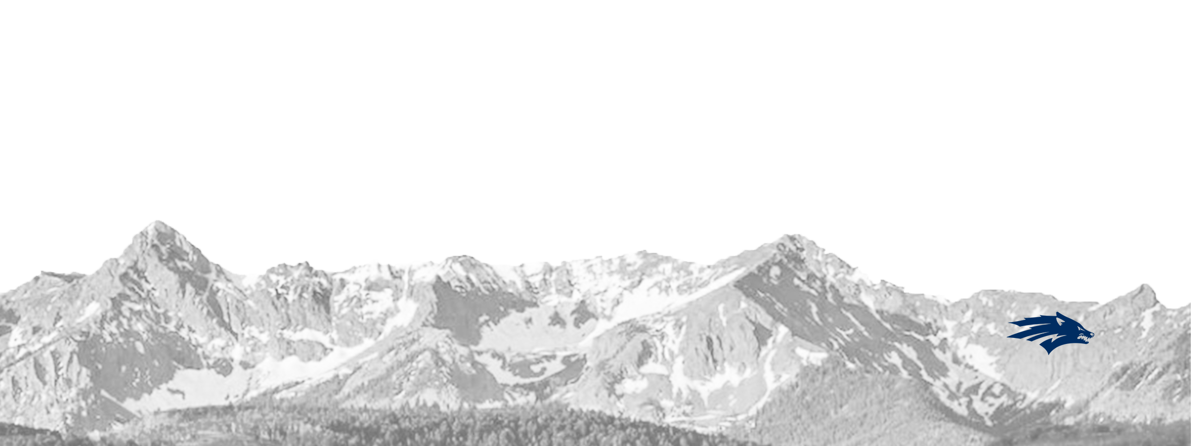 Nevada header.png