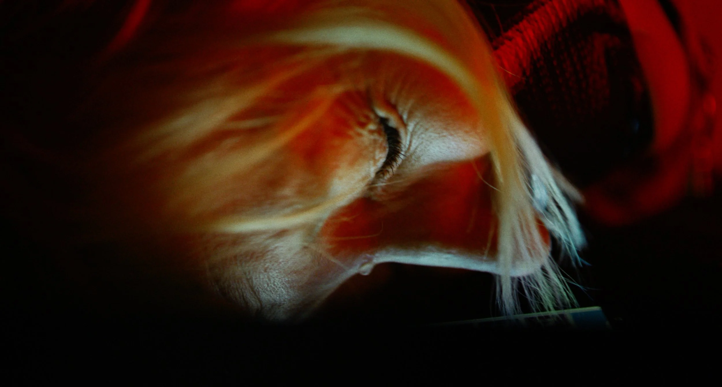 Screenshot 2023-10-24 at 21.59.37.jpg