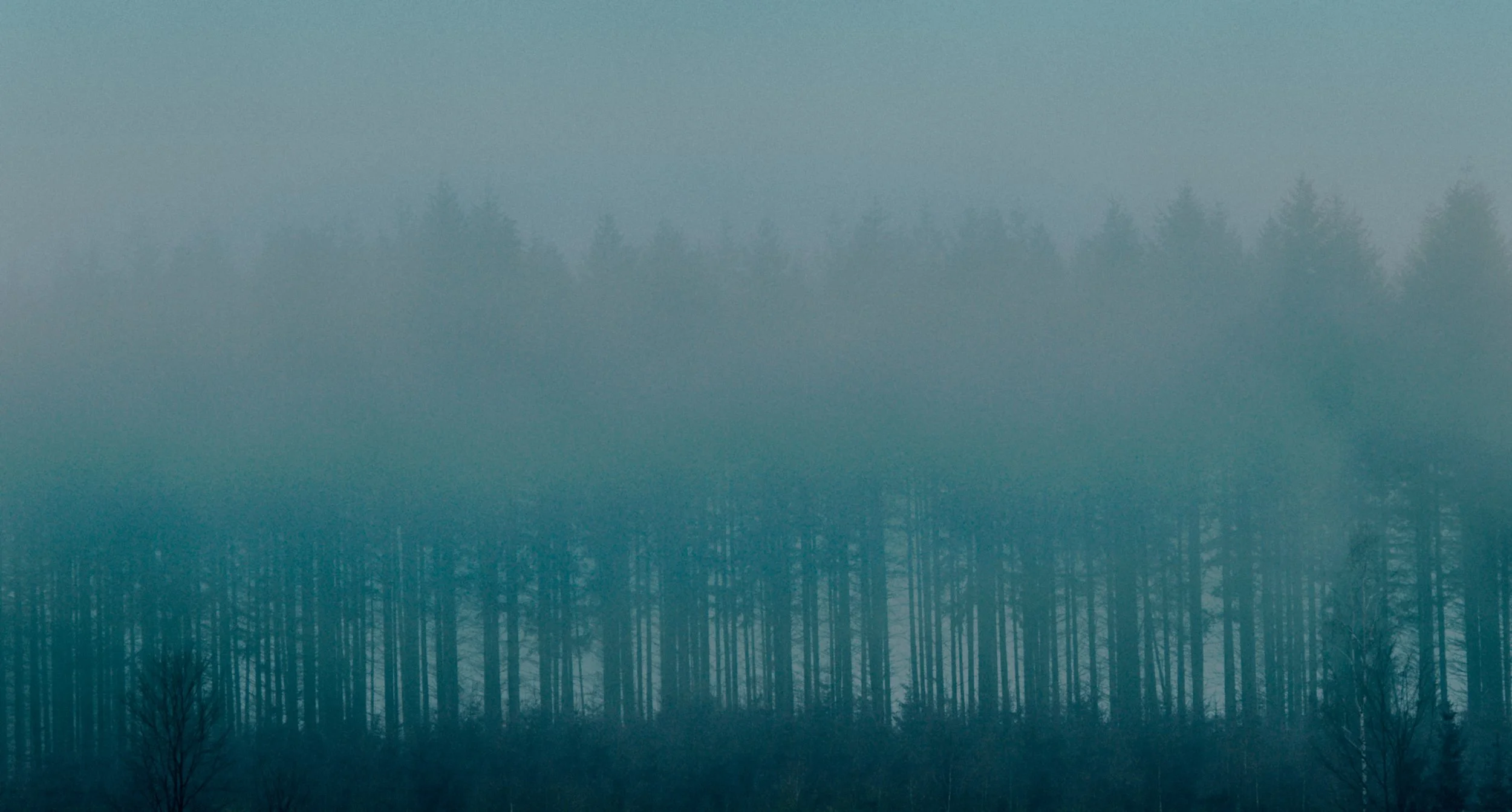 Screenshot 2023-10-24 at 22.47.35.jpg