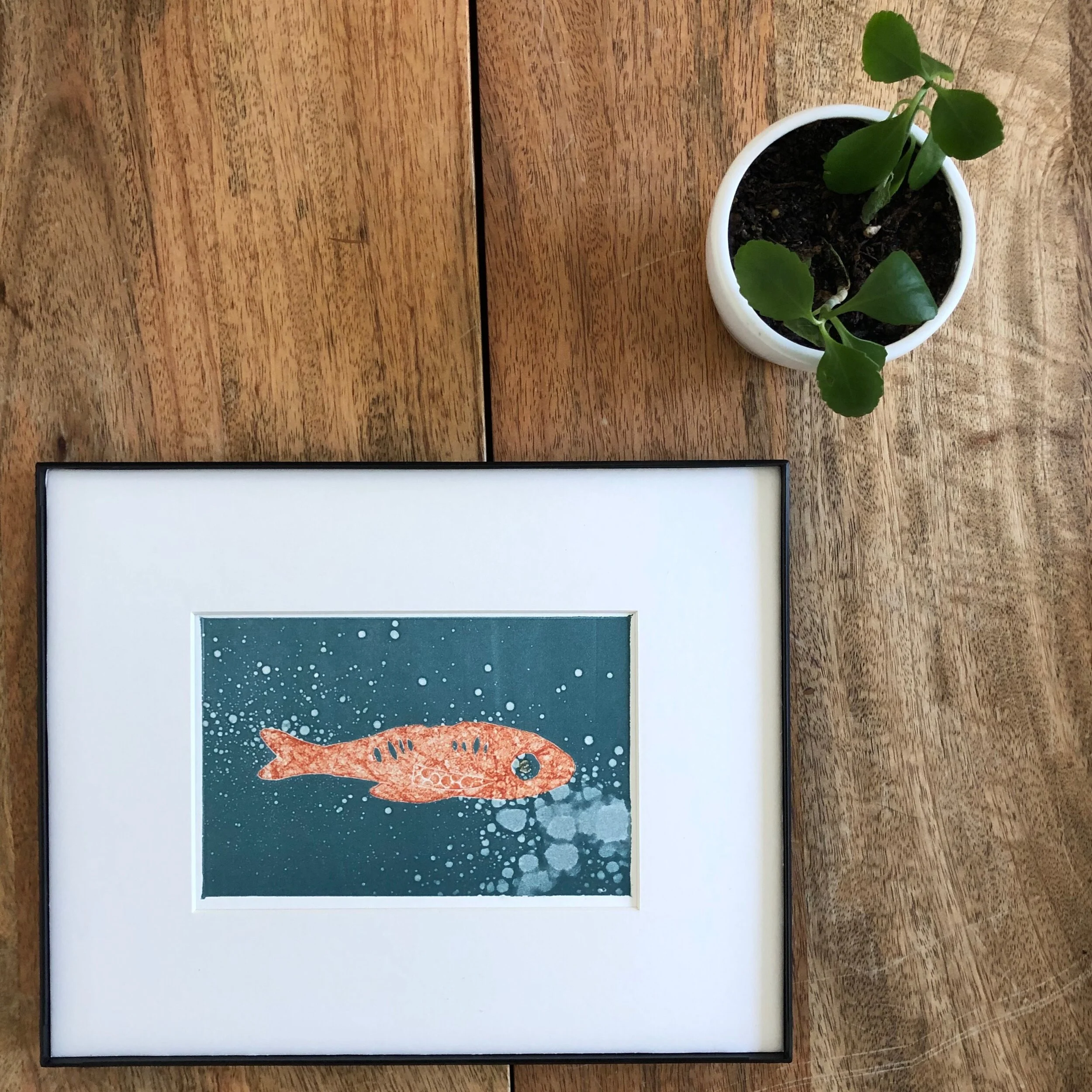 Pescado Blue Bubbles | Giclée Print