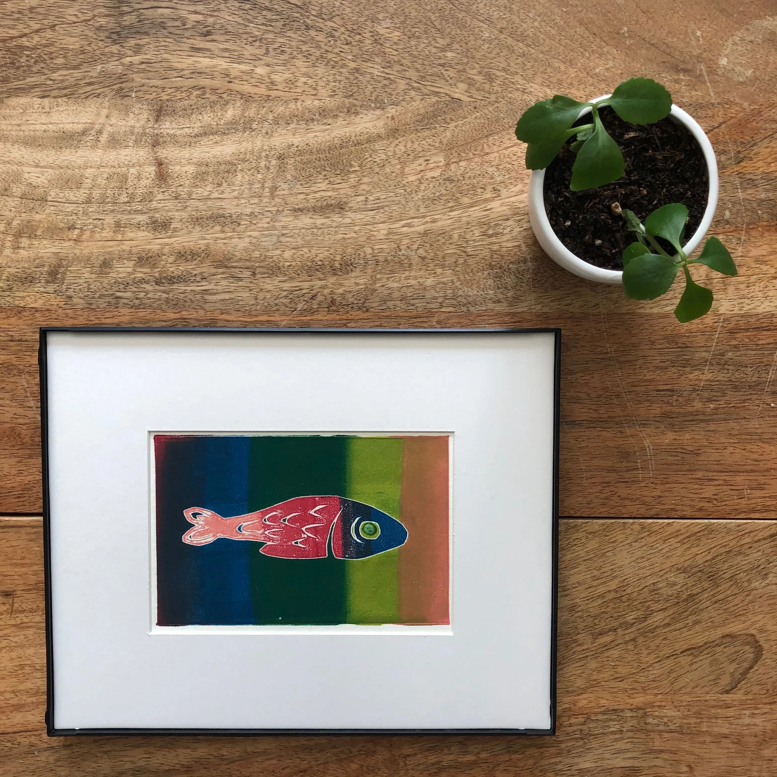 Pescado Rainbow, 2019 | Giclée Print