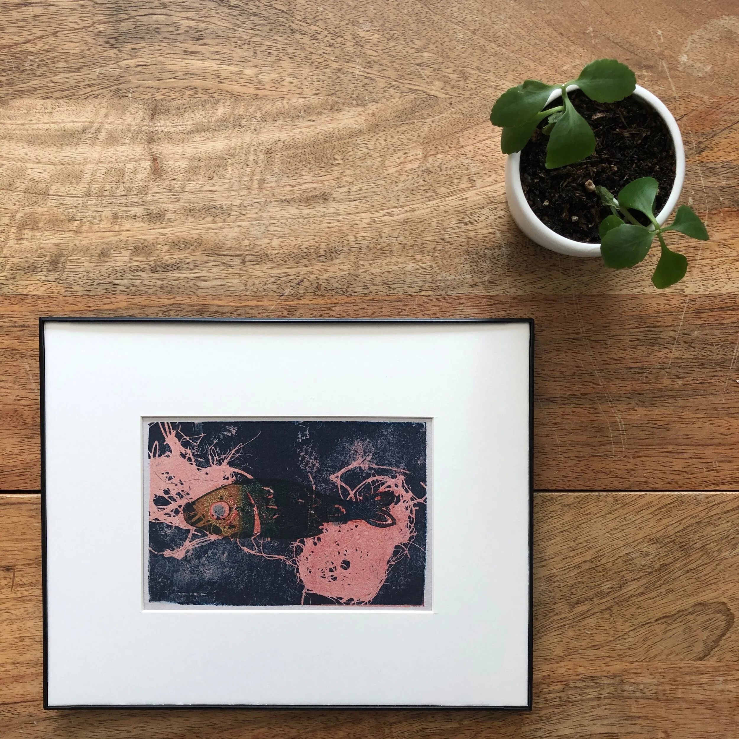 Pescado Blue Pink, 2019 | Giclée Print