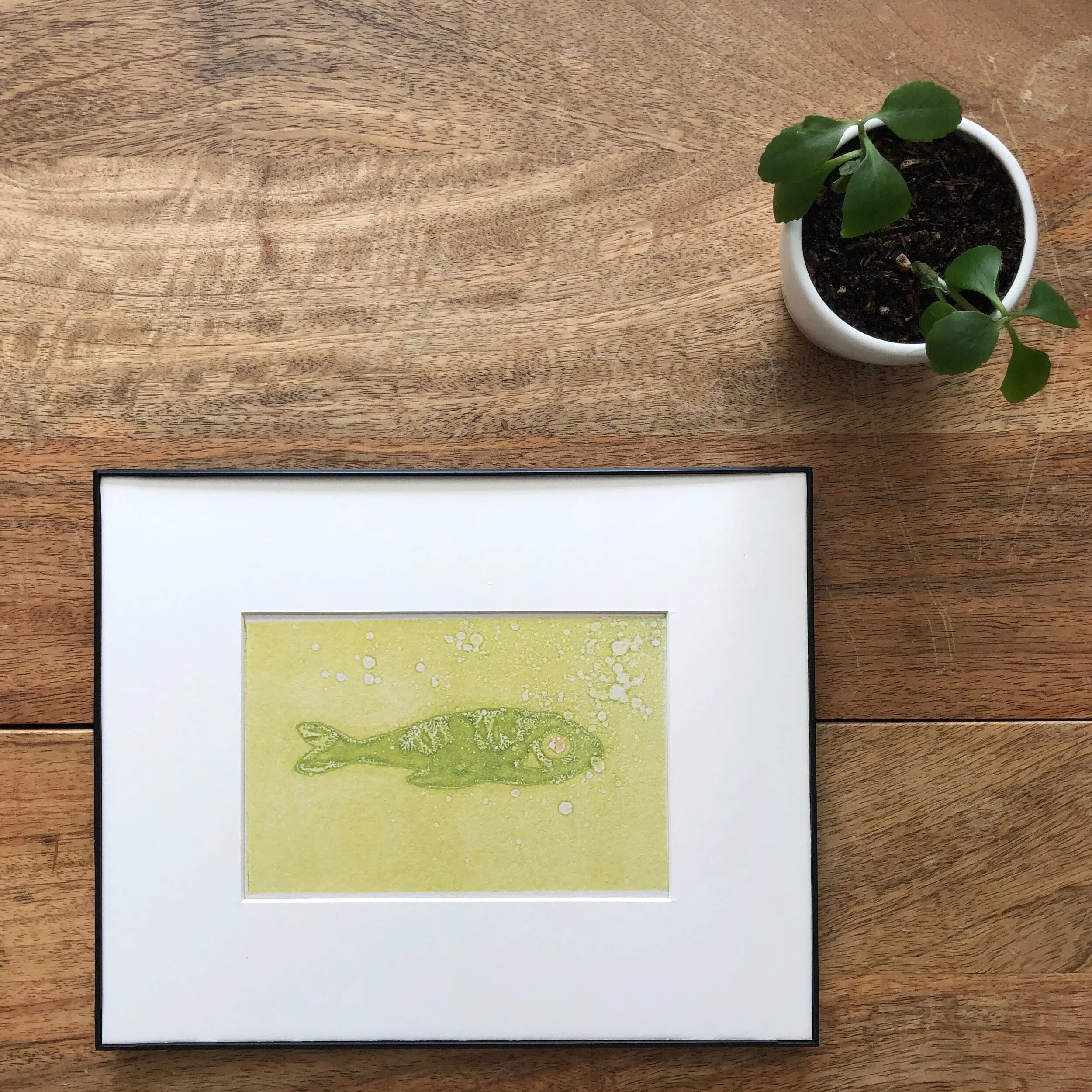 Pescado Lime, 2019 | Giclée Print