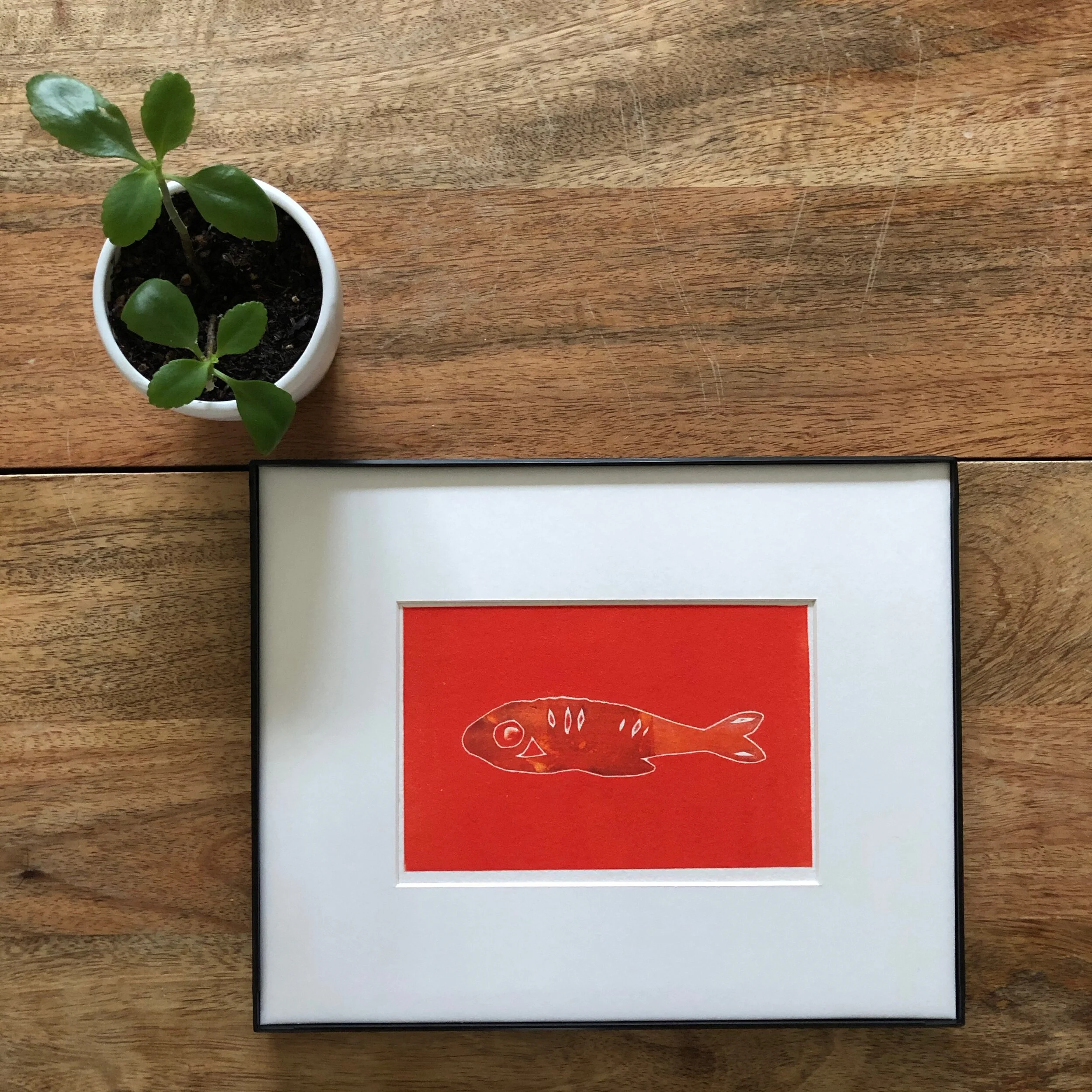 Pescado Bright Coral, 2019 | Giclée Print