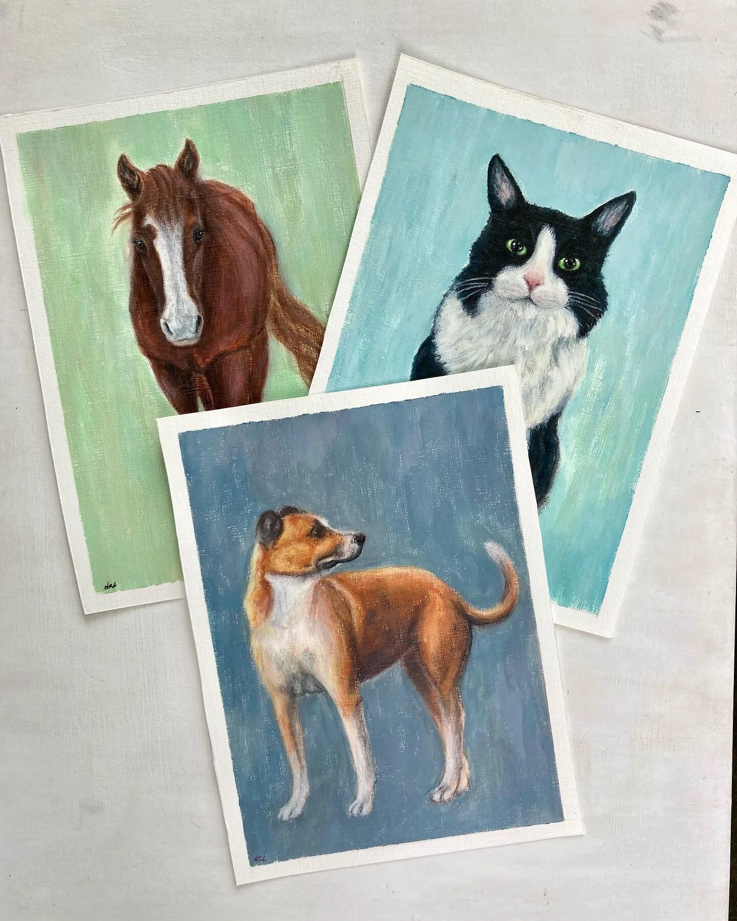 Happy to be sending off these three custom pieces I got to create for one vibrant, animal-loving soul, who gave all three of these sweet creatures a beautiful life. 💙
.
.
.
.
Message me for your own custom pet portrait :)
.
.