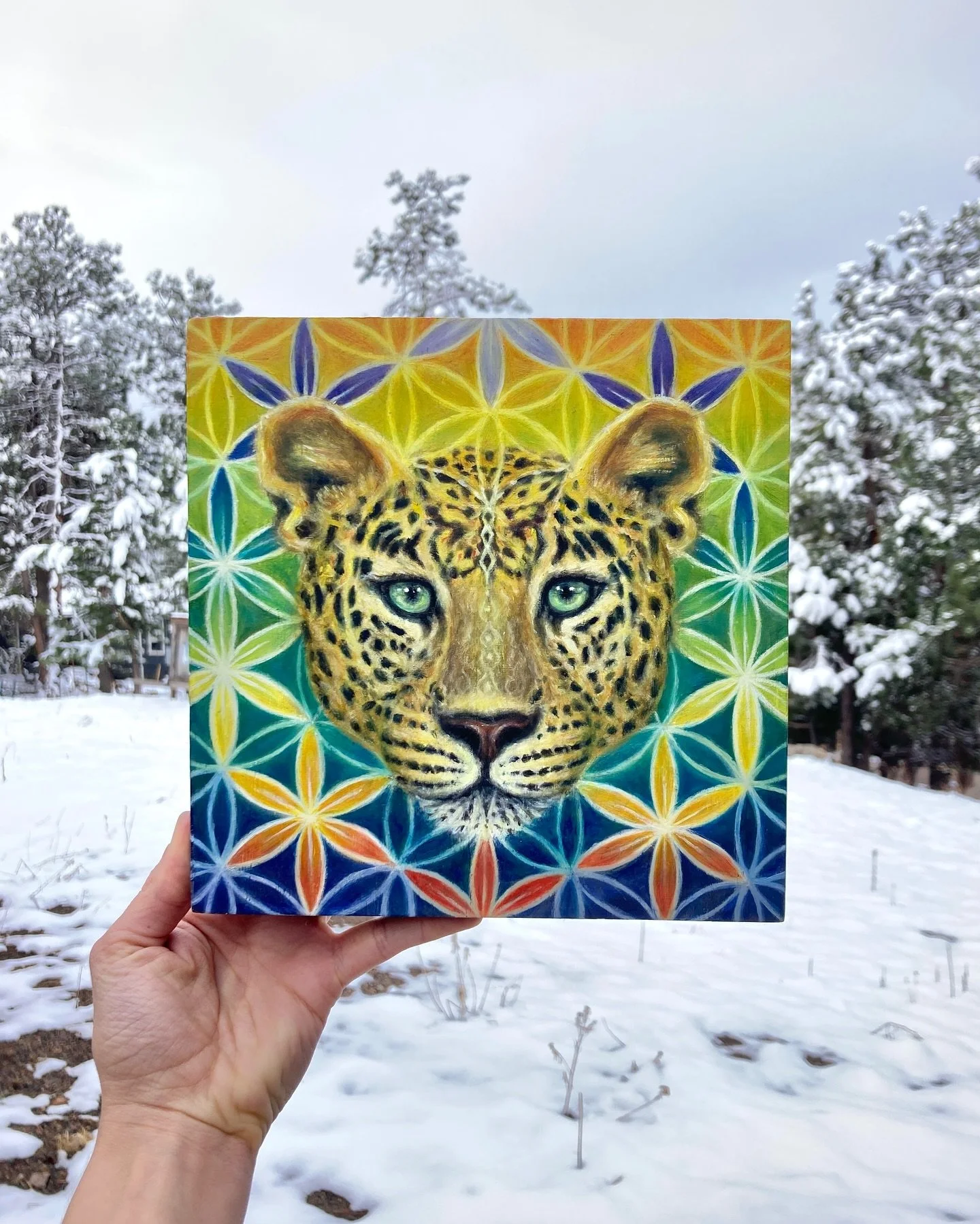 &bull;&bull; Ancient Gaze &bull;&bull;

✨

Order and wildness are not opposites. 
One gives shape; the other gives life. 

Within sacred geometry &mdash; the Flower of Life &mdash; we find not just design, but the memory of how things move, breathe, 