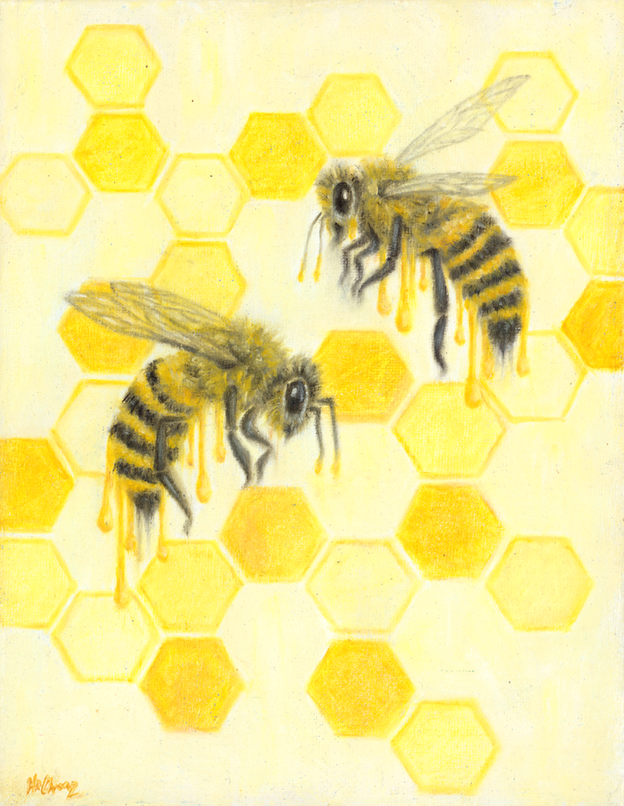 bees%252Bsquare.png