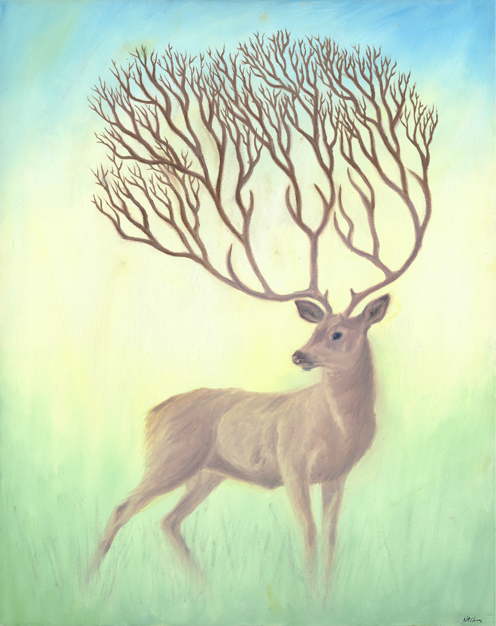 IMG_1239.png