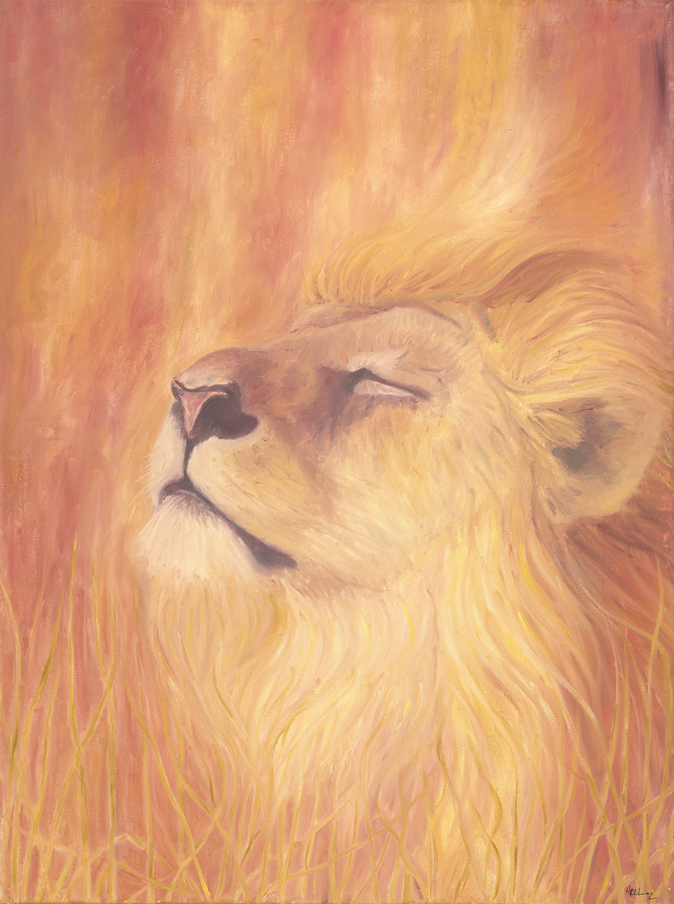 lionn-1.png