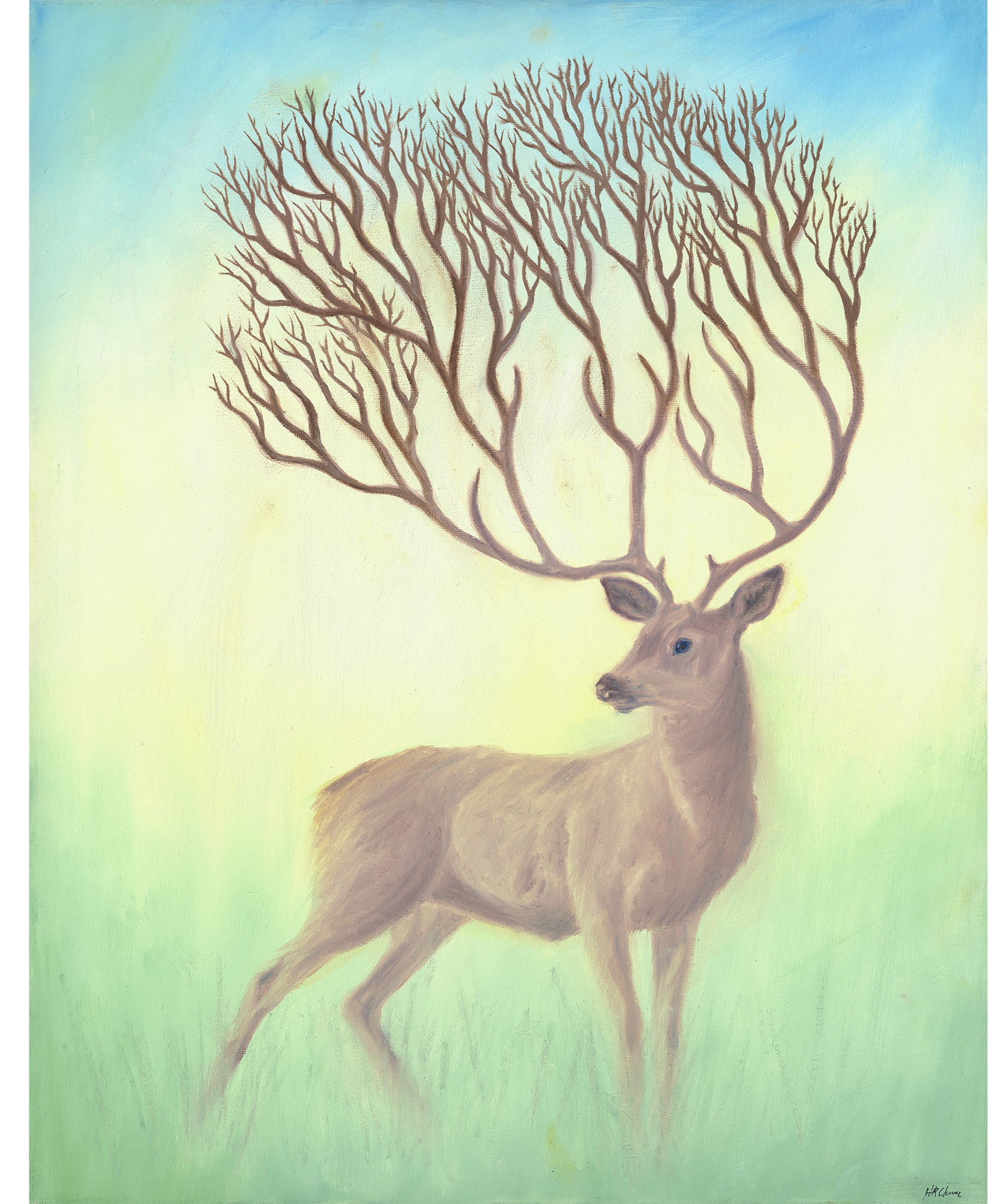 IMG_1239.png