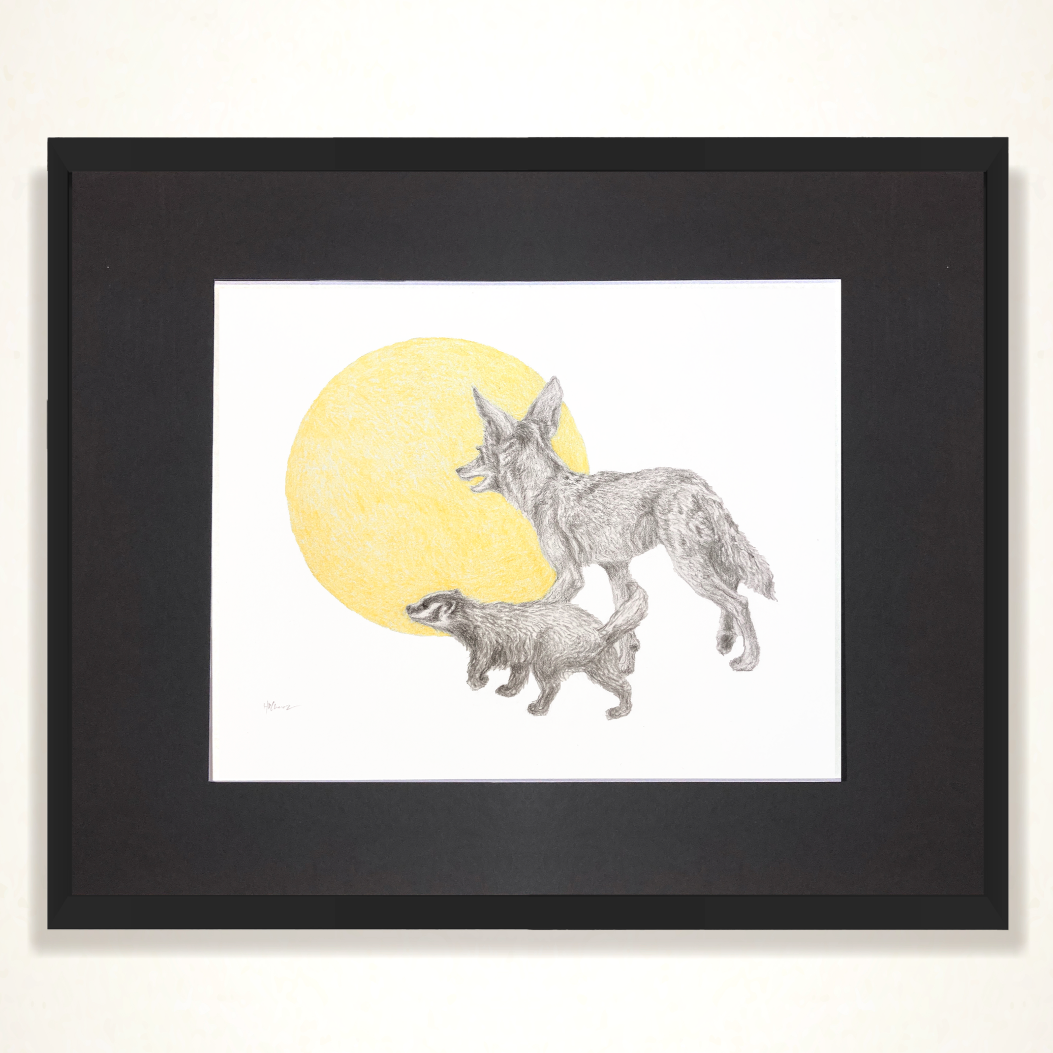 The Badger and the Coyote