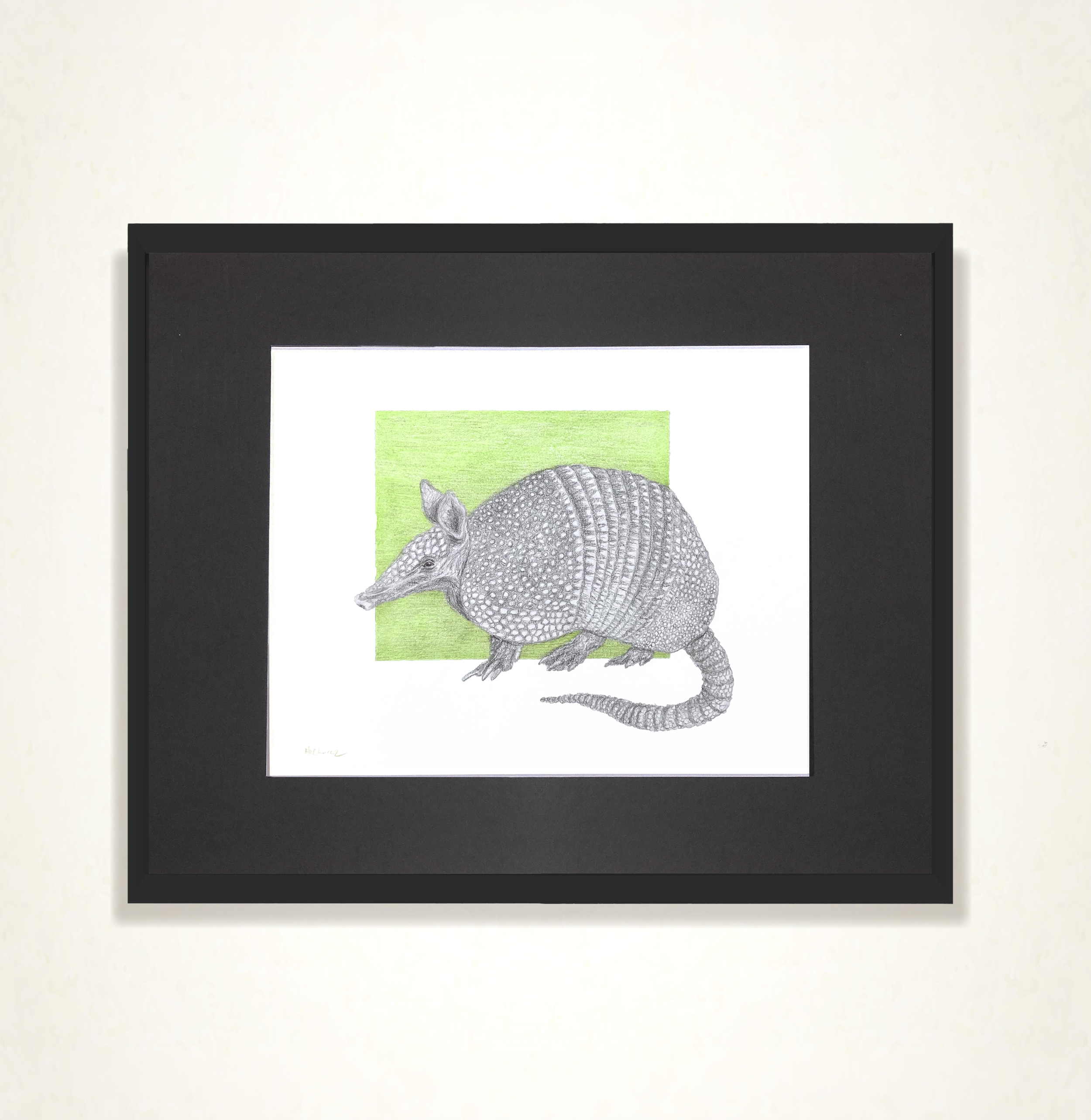 Armadillo frame.png