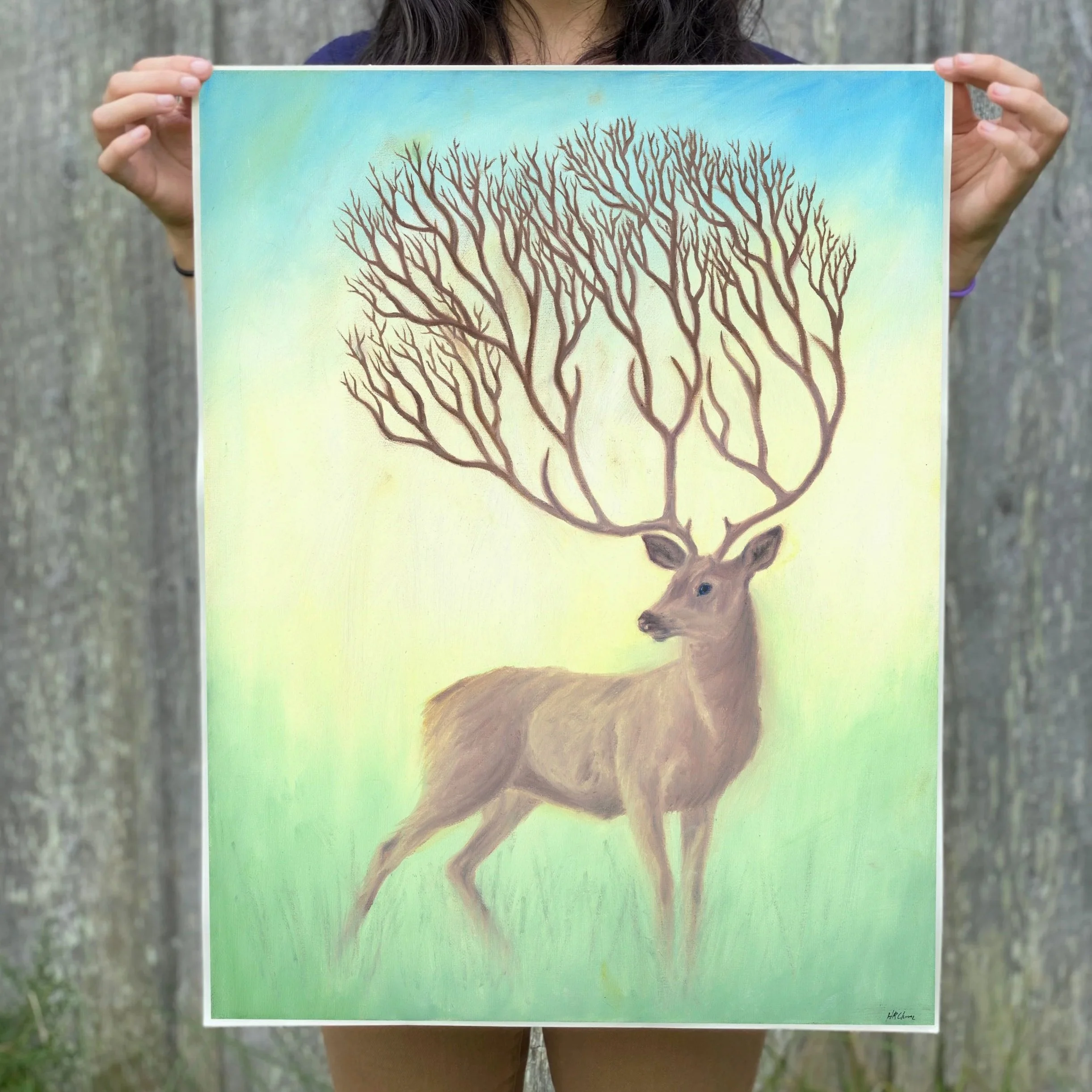 deerprinthold.jpg