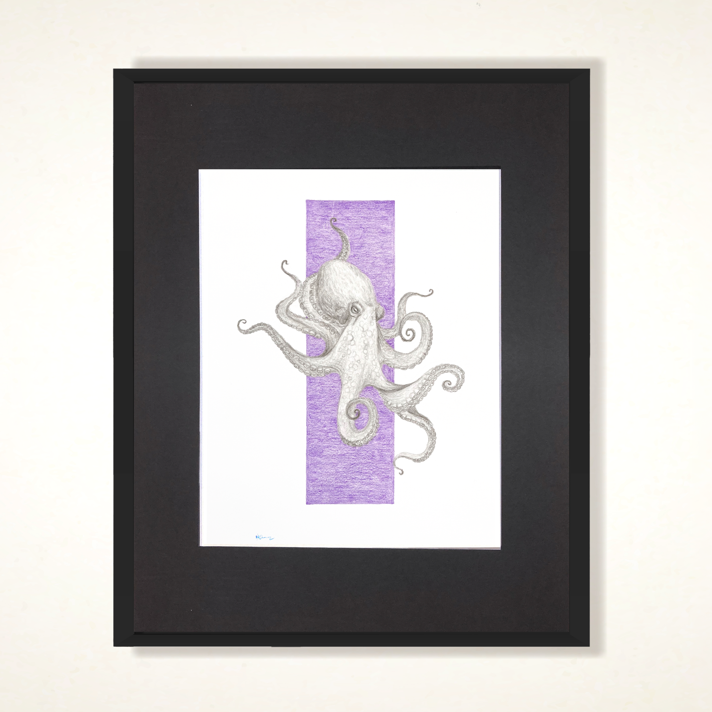 Octopus+frame.png
