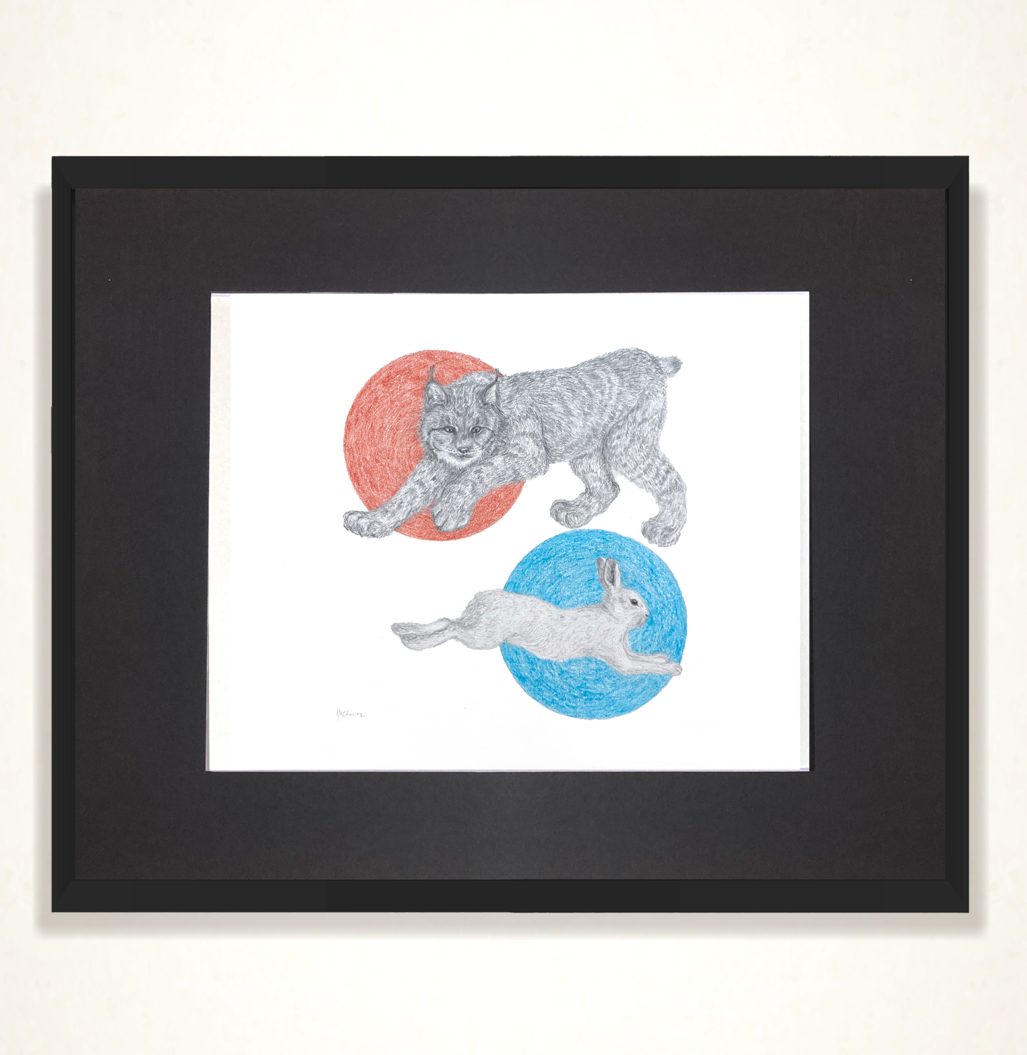 Canadian Lynx and Snowshoe Hare