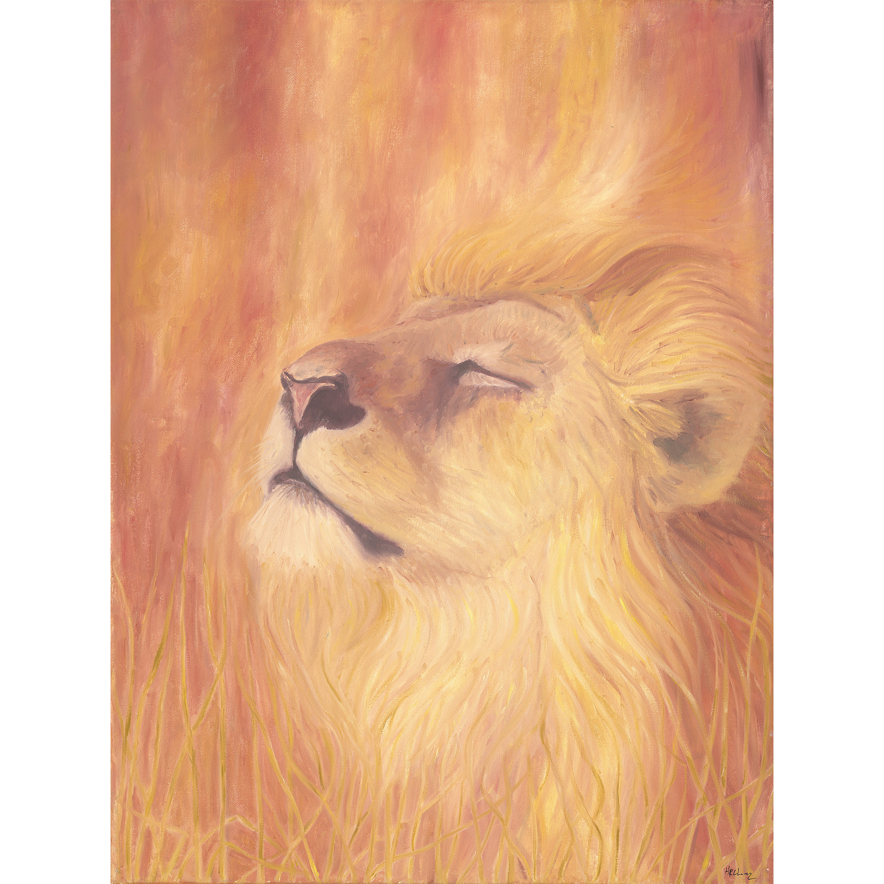 lionn-1.png