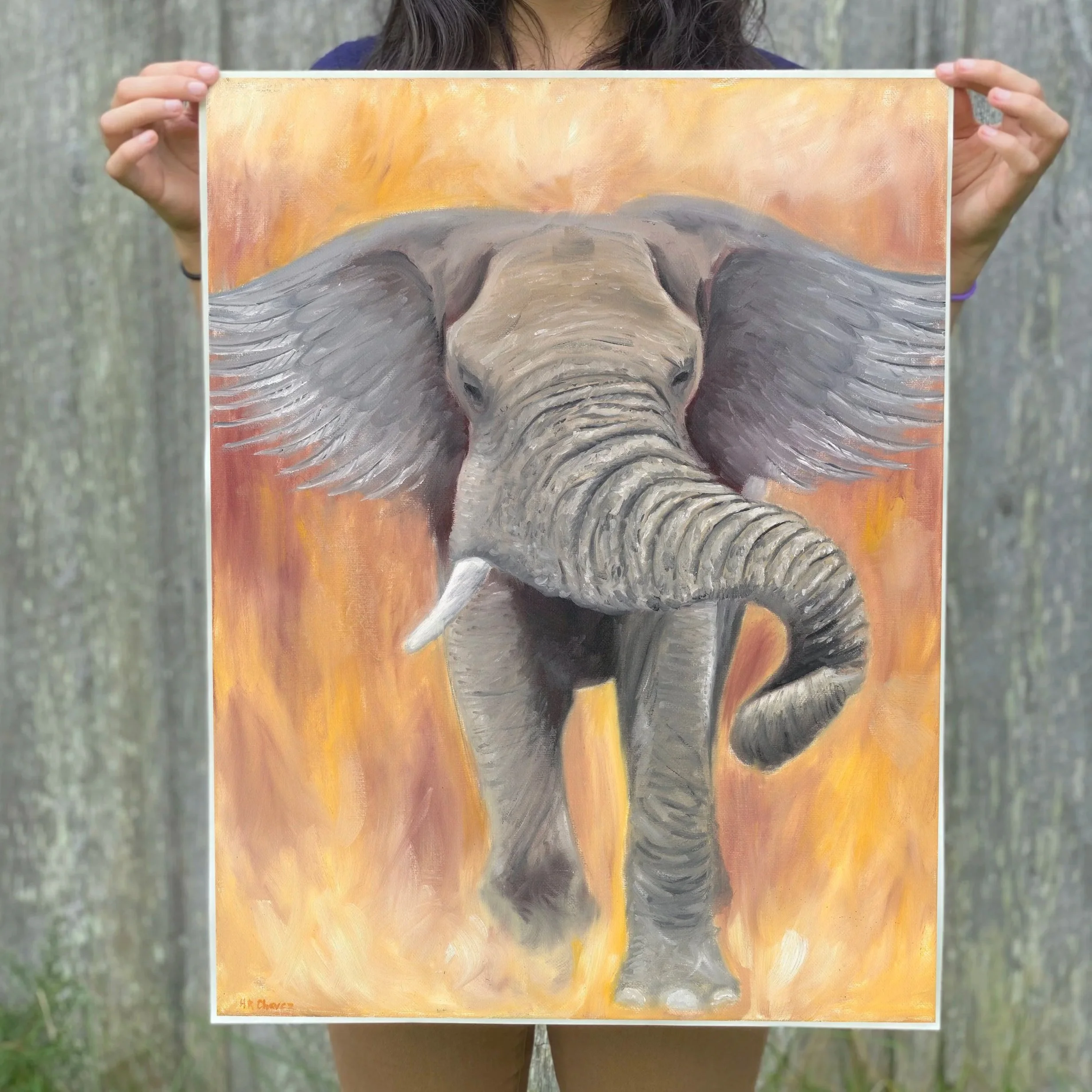 elephantprinthold.jpg