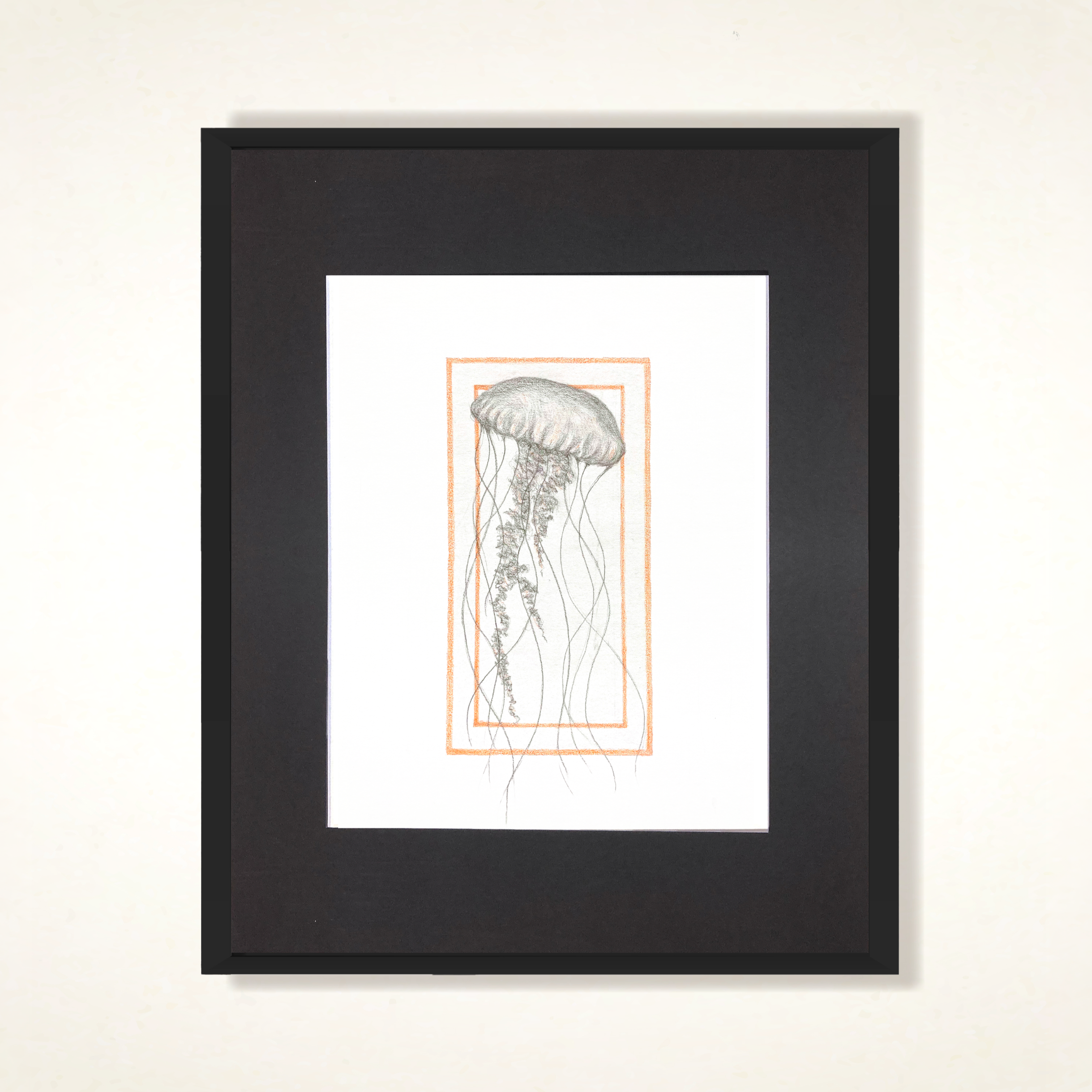 Jelly+frame.png