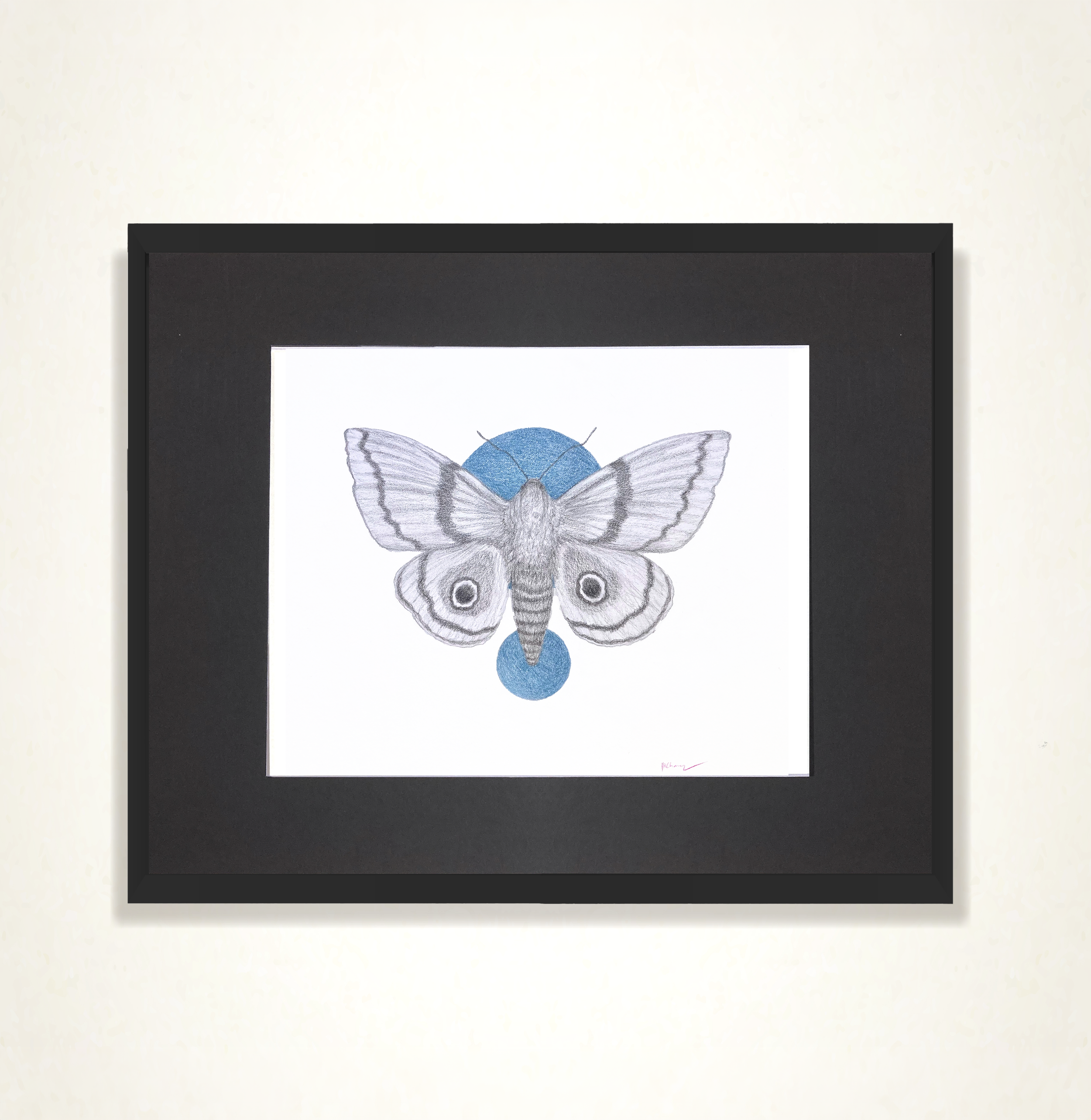 Moth framed.png