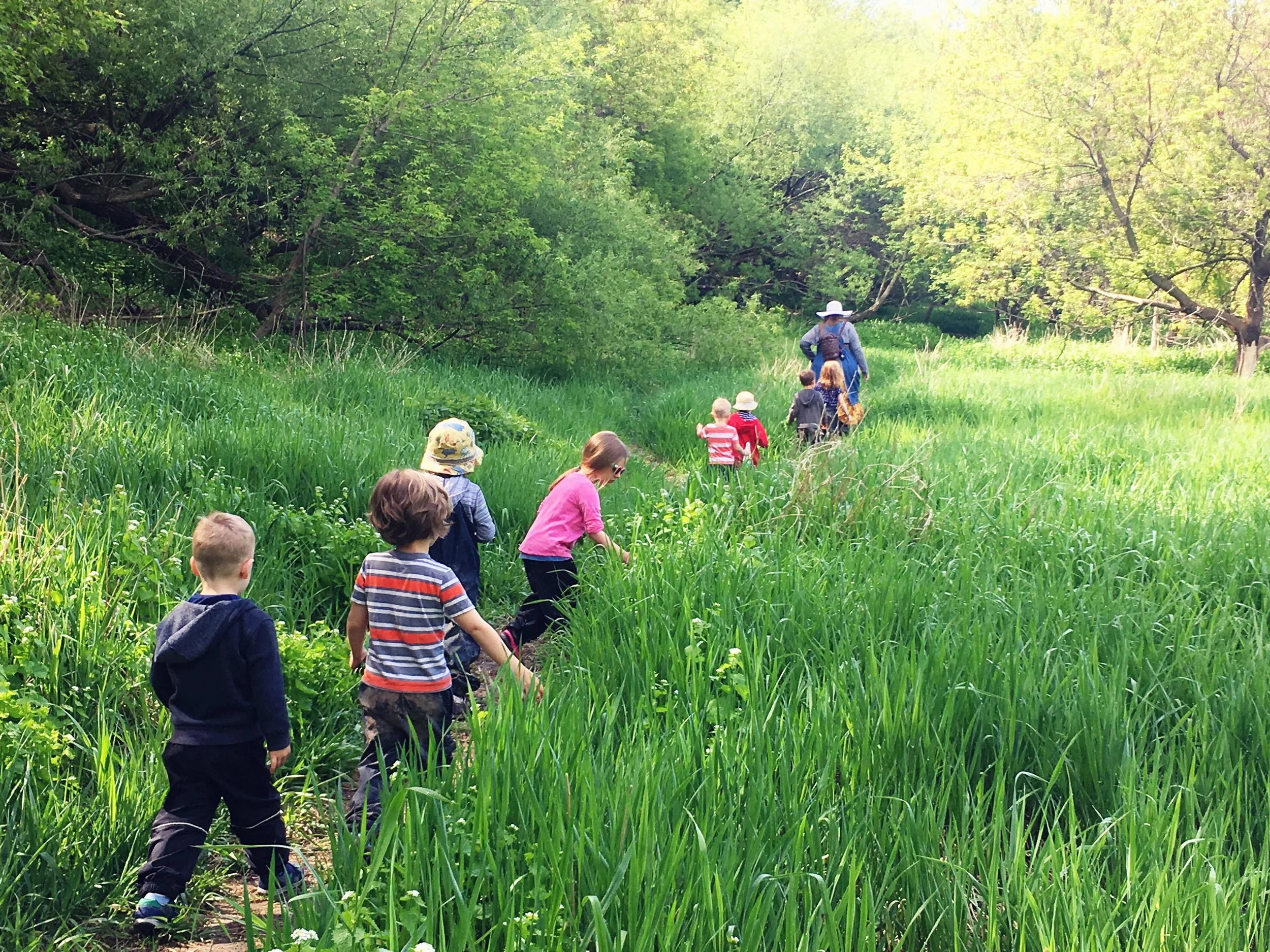 Joyful Mornings Nature Class at the Urban Ecology Center