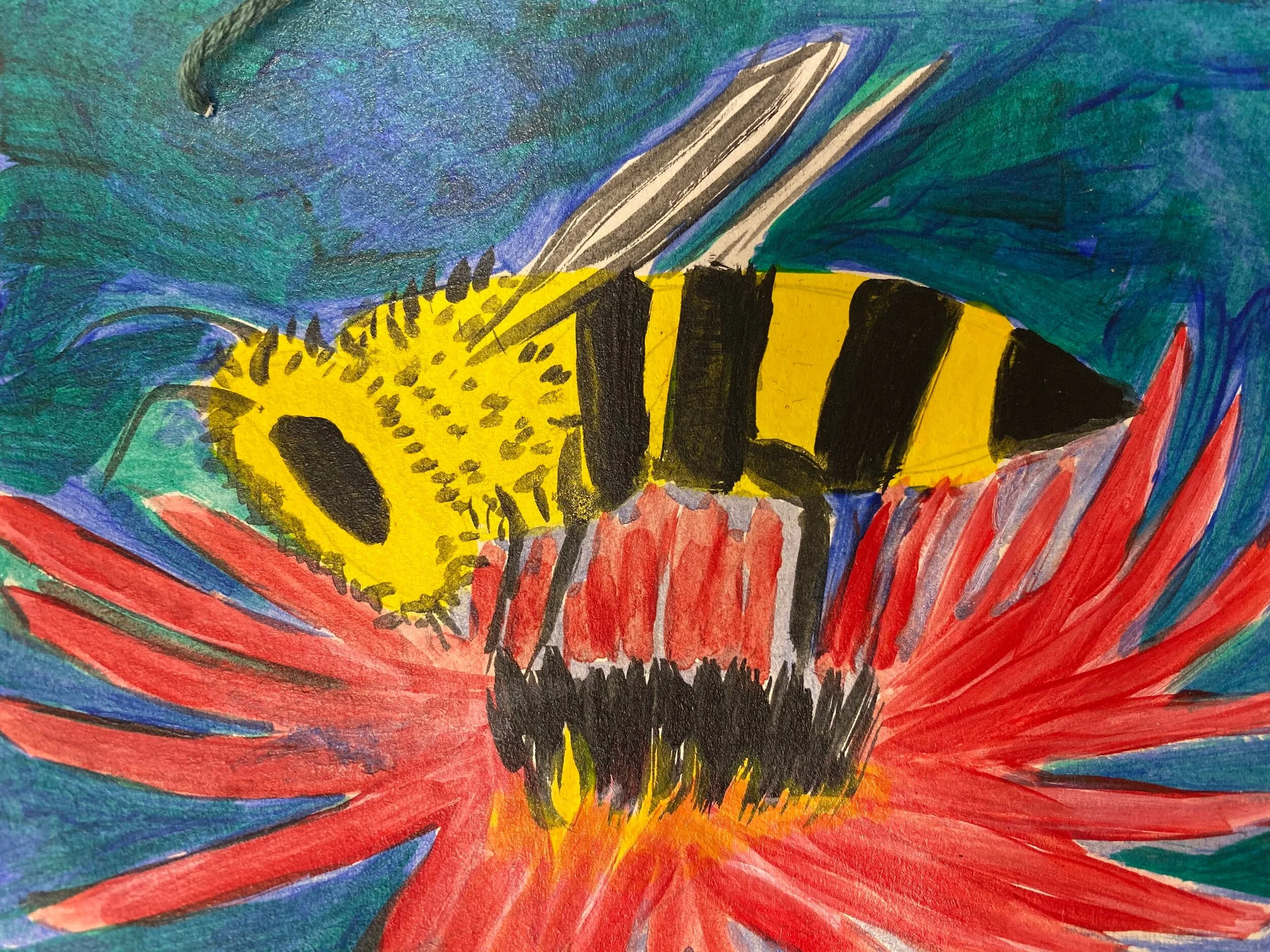 February 2020 Newsletter 