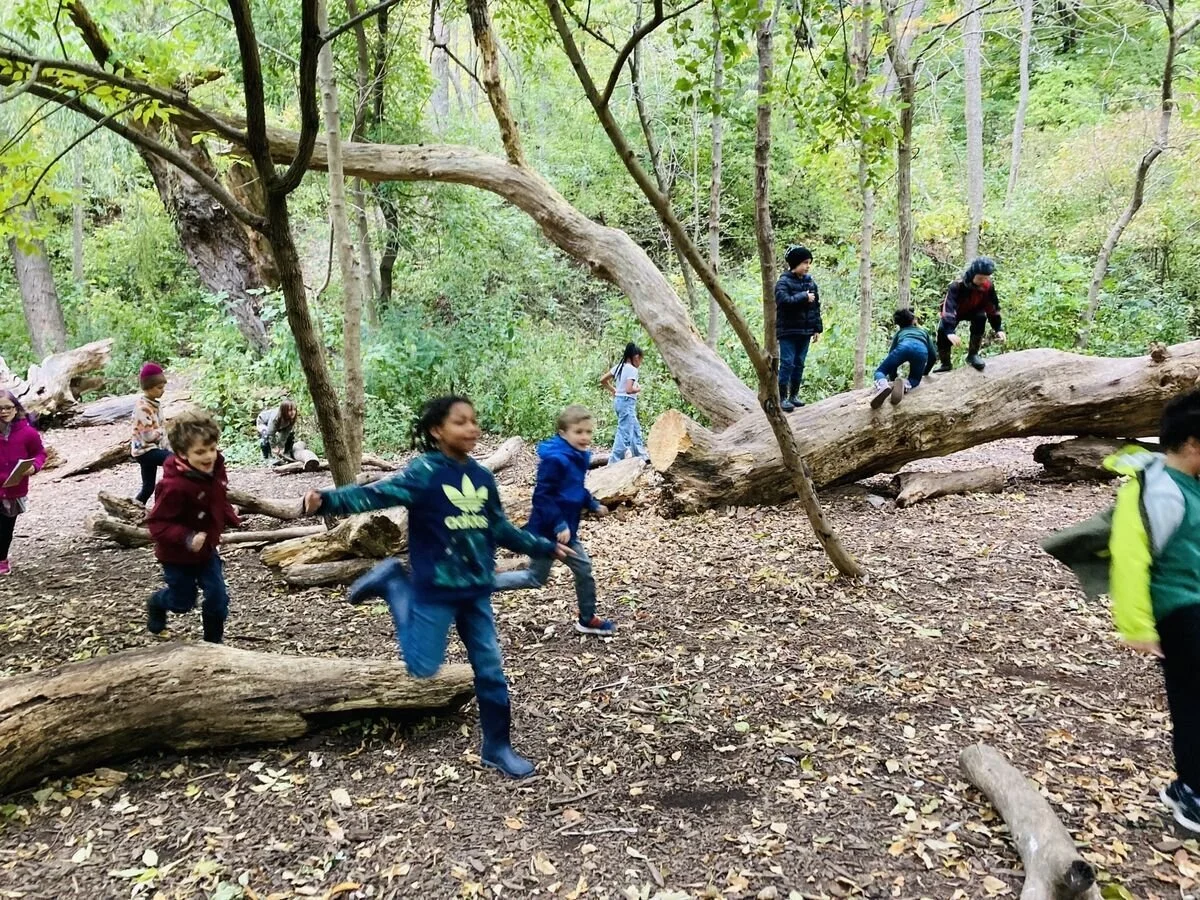 Urban Eco Center_outdoors (1).jpeg