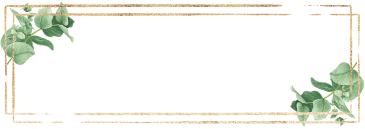 Savanna Gale Photography