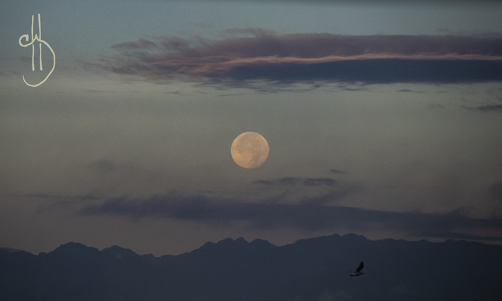 more in heaven and earth