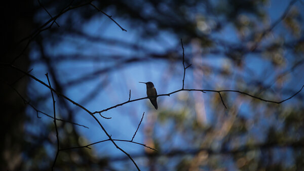 something I put together for the fam