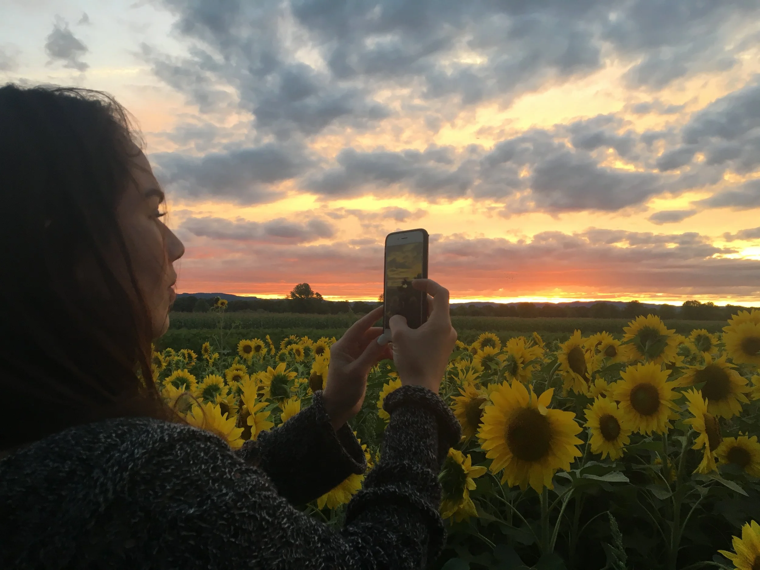 Why Mana Shim cops people’s digits while pursuing her dreams