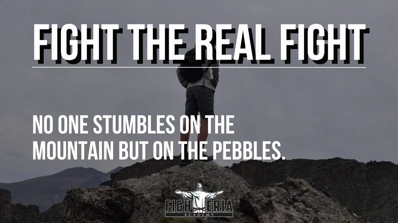 NO ONE STUMBLES ON THE MOUNTAIN BUT ON THE PEBBLES.
