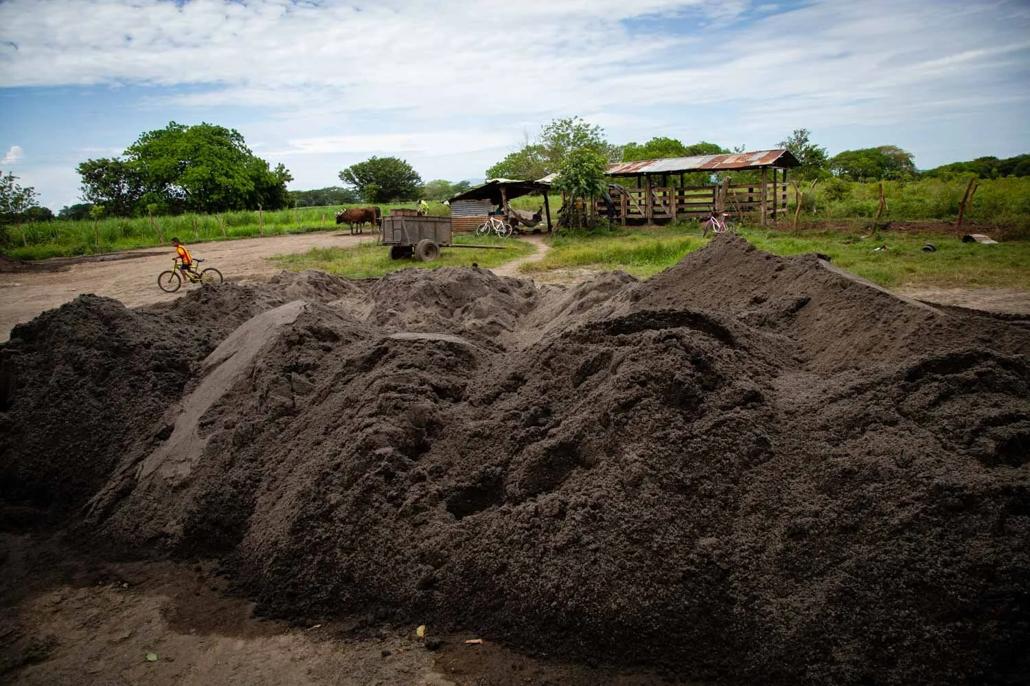   This is how one of the sand piles looks before being taken to the Tempisque Valley Sand Excavators Association, where intermediaries market it.  
