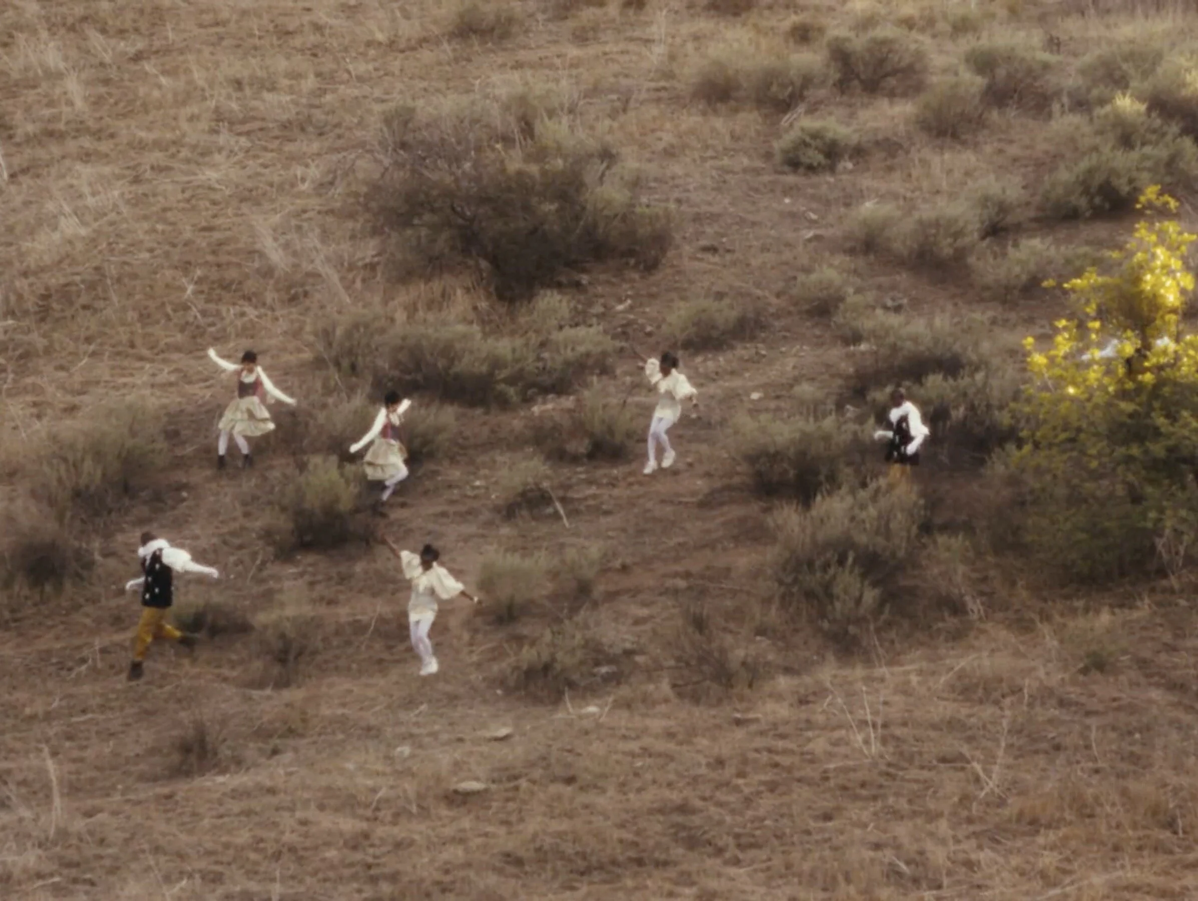 SCREEN SHOT 2021-08-09 AT 6.58.55 PM.jpeg