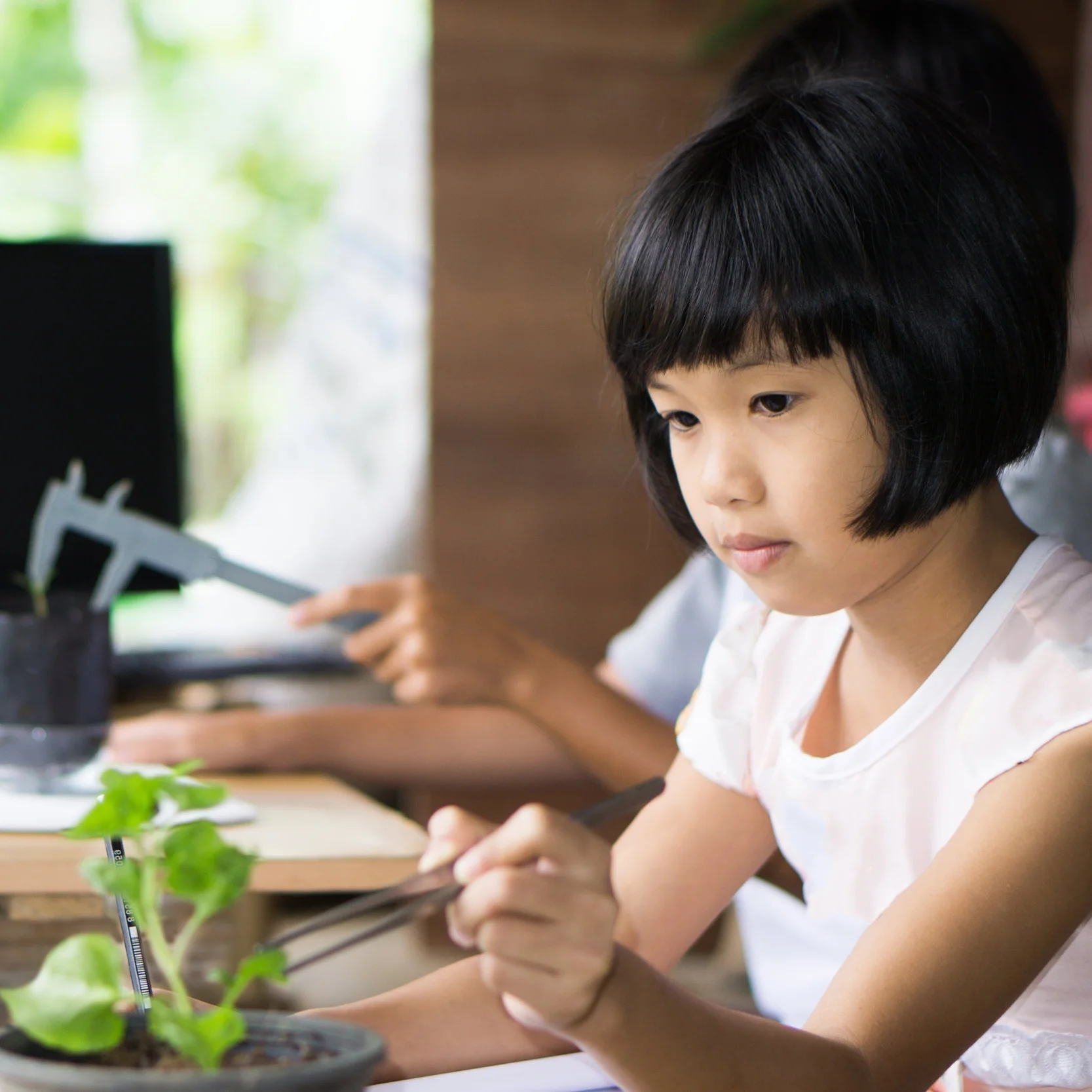 A+girl+in+class+with+plant+and+tweesers.jpg
