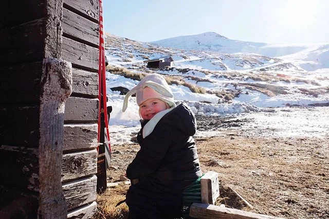 2019 AGM + SOME EXCELLENT REASONS TO GET INVOLVED: 
We appeal to your wishes for our grassroots piece of low-key ski paradise to keep its wheels turning.
The existing Committee are keen for your input and some new members! 
2019 AGM
7.30 pm, 29 November
The bar at The Heritage, Hanmer Springs 
EXCELLENT REASONS: 
Join us to make sure your kids don't turn into glossy, chair lift only creatures! 
Join us so your bank account doesn't scream every time you consider going skiing! (Committee members ski for free remember...)
Join us so you don't have to sneak away for lone ski days because it gets so spendy taking the family! 
Join us to add something to your life that isn't work related.
Join us so you can park walking distance from the day hut and tow...without leaving home at midnight.
Join us so you and your friends can enjoy the wonders of club life and hut life under the stars with your own beers.
Join us because we're a like minded bunch that simply cannot let go of rope tows, tussock jumping and swoopy lines down the Bordeaux Basin. 
I've got more but will leave you with that. Mix up your 2020! 
AND this isn't just an appeal for Committee members, we are simply keen to hear from and engage members and those interested.

Cheers, 
Your Amuri Ski Club Committee