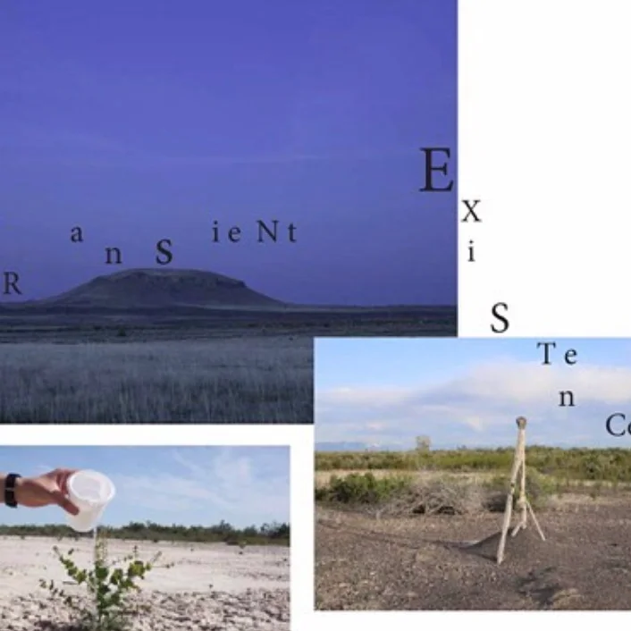transient.png