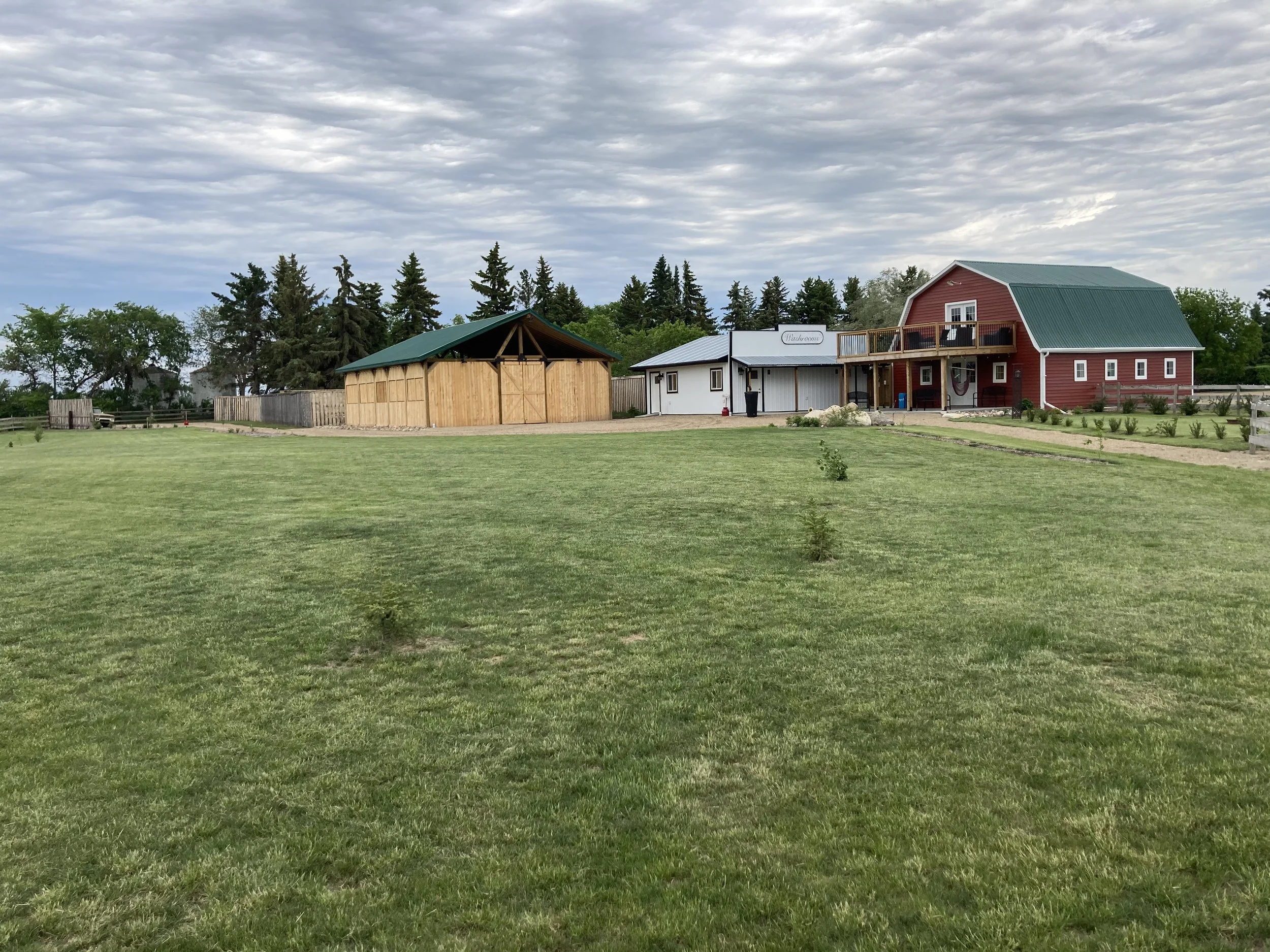 barn yard.jpg