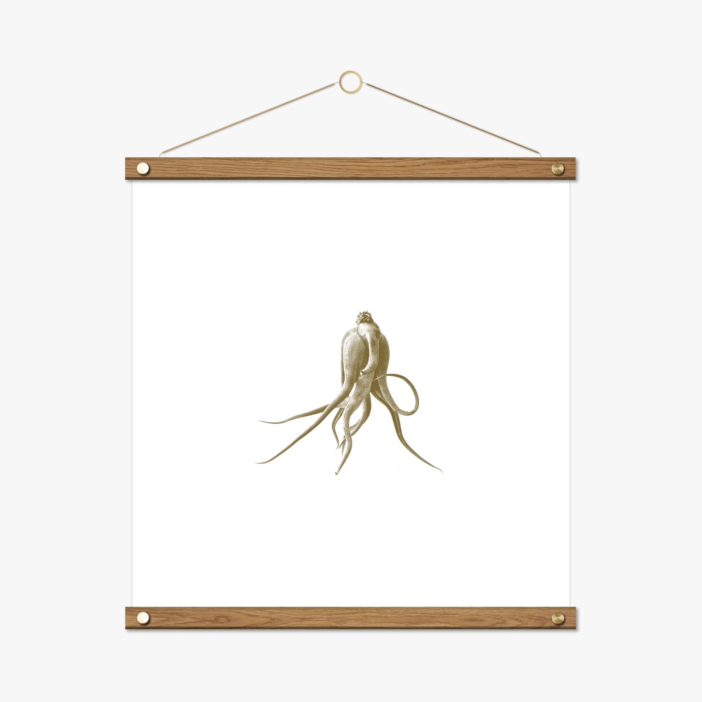 hanger-ar3-risograph.jpg